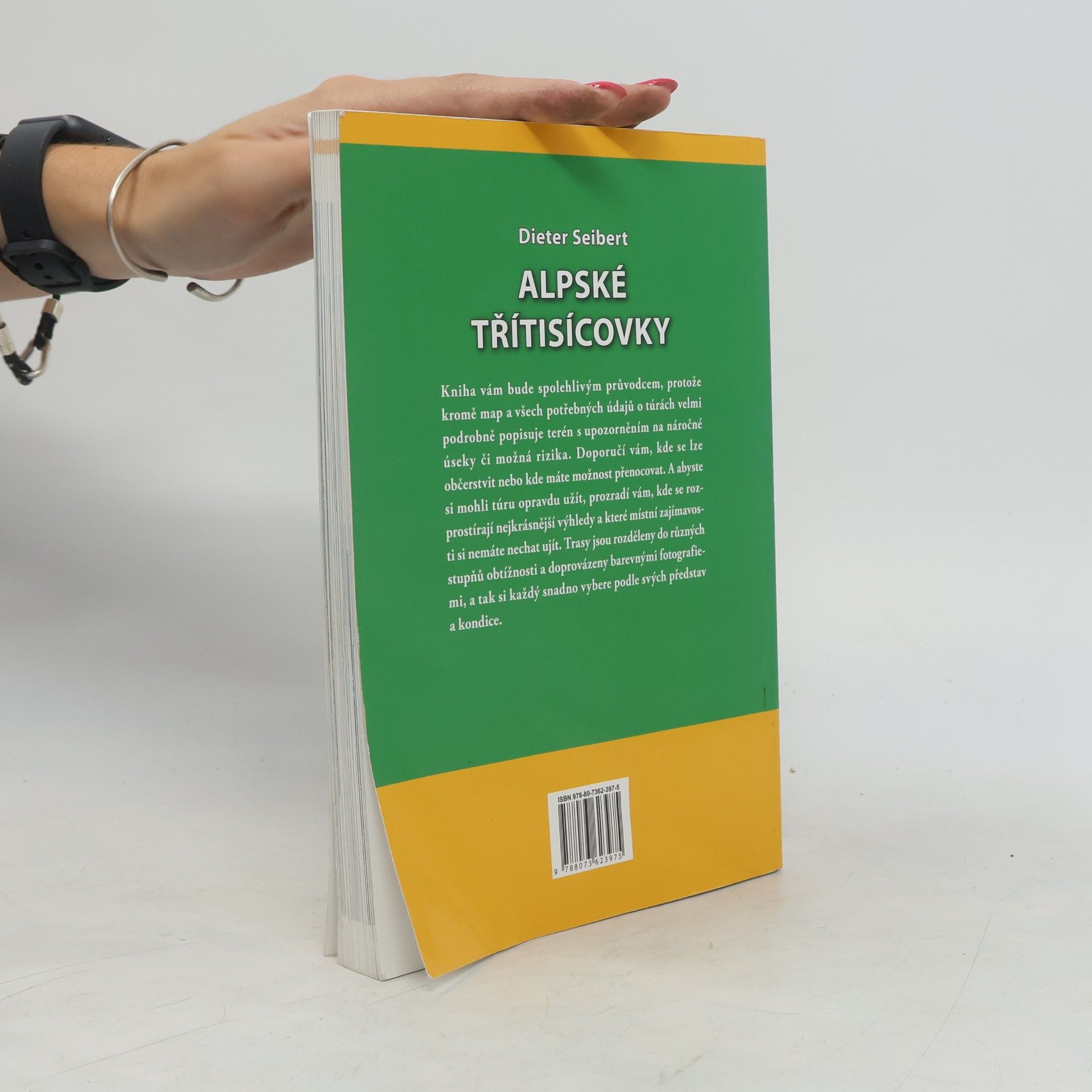 Dieter Seibert Alpské třítisícovky