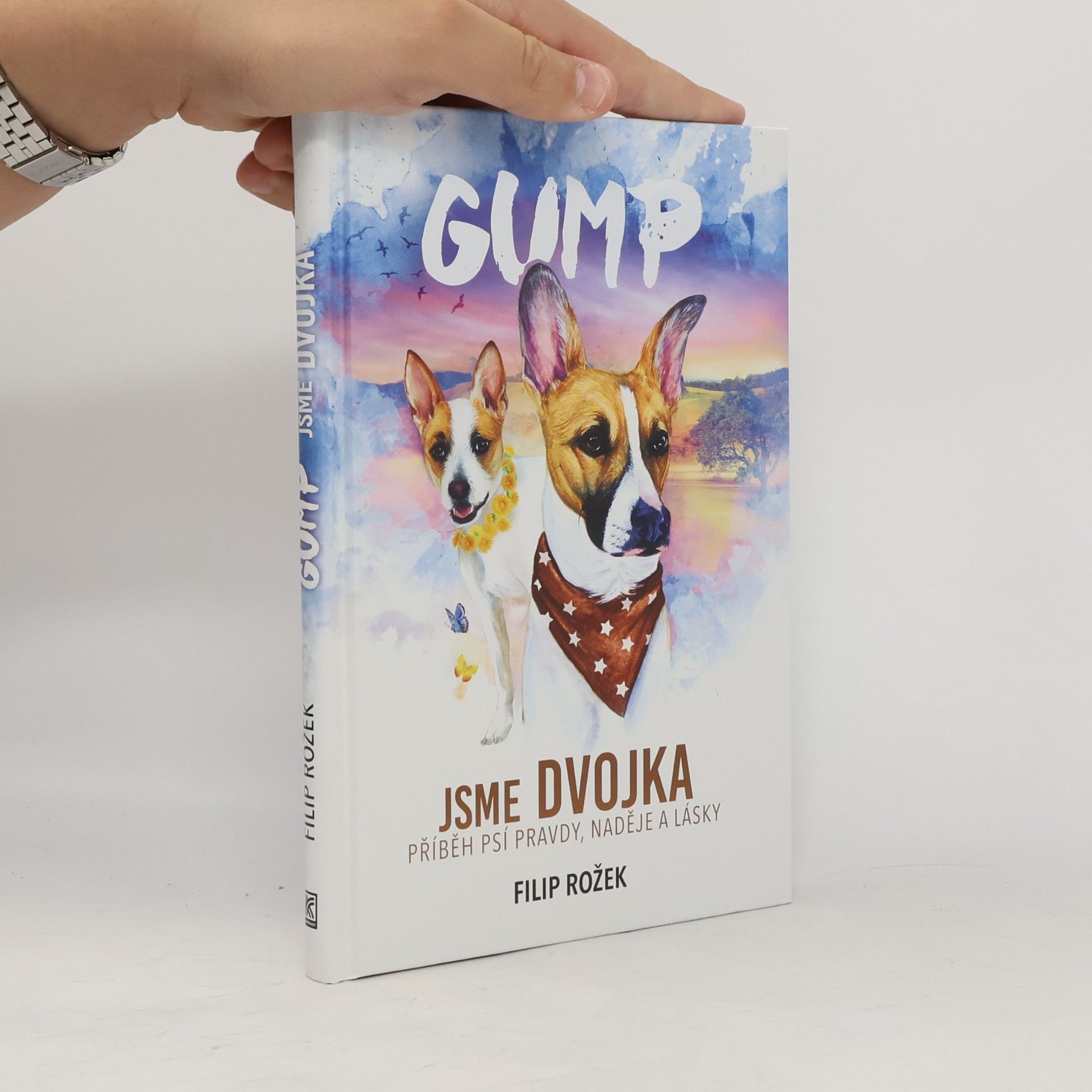 Filip Rožek Gump jsme dvojka: Příběh psí pravdy, naděje a lásky