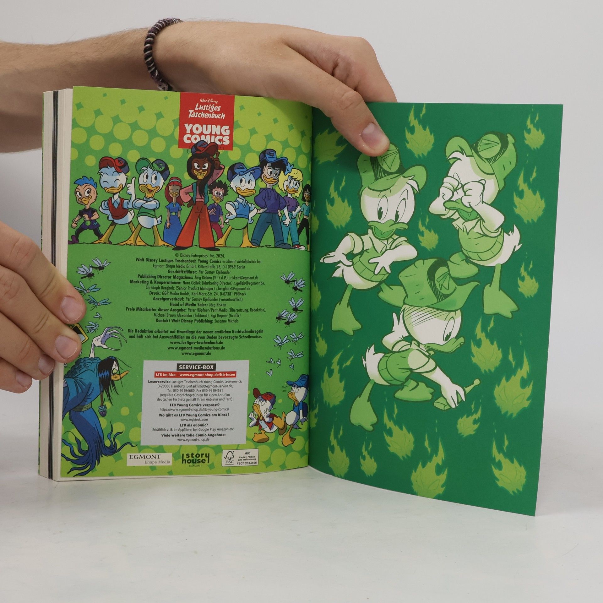 Walt Disney Lustiges Taschenbuch Young Comics 12