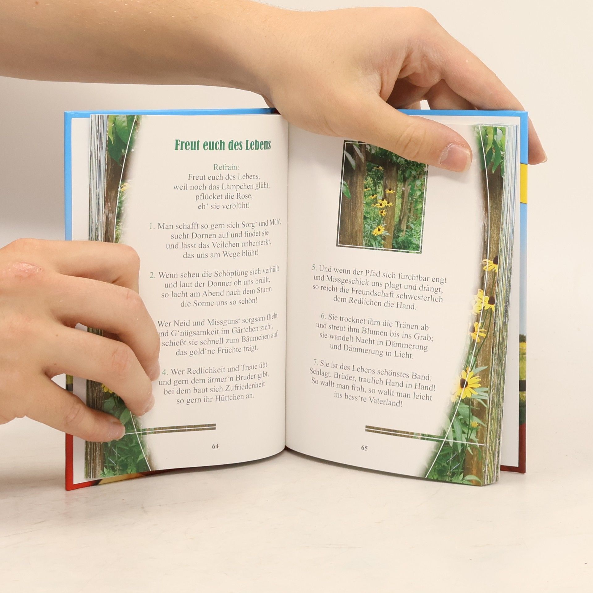 Andrea Verlags GmbH Mein Liederbuch