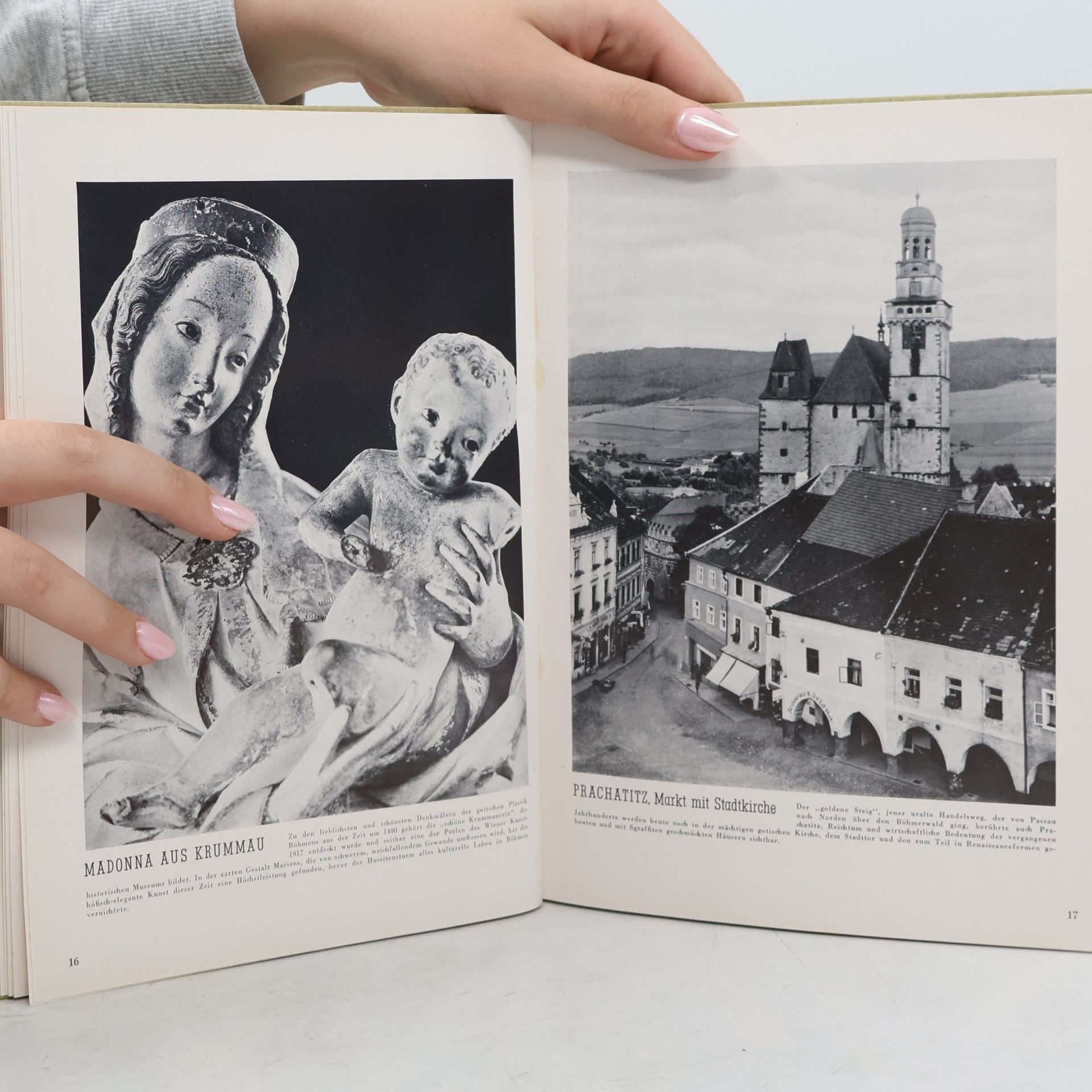Wilhelm Turnwald Sudetendeutsches Bilderbuch