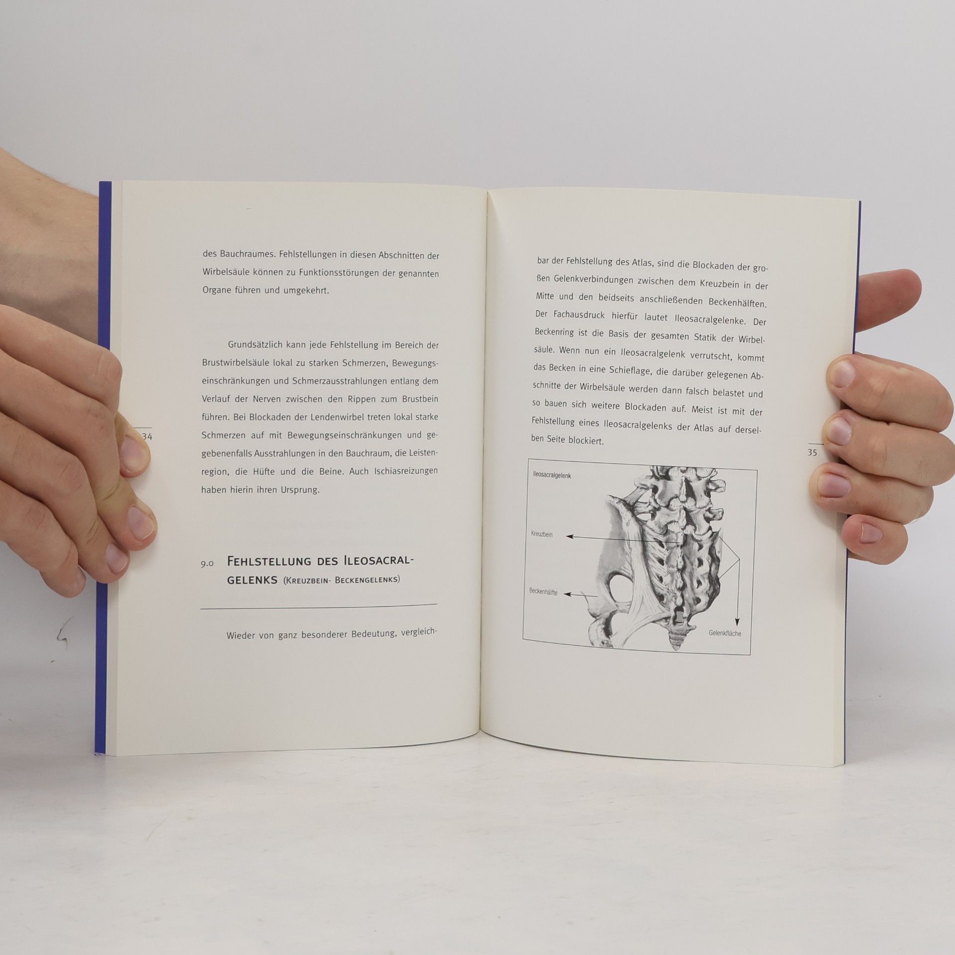 Theodor Wohlmann Die Hexen kommen in der Nacht. Die Revolution der Rückentherapie