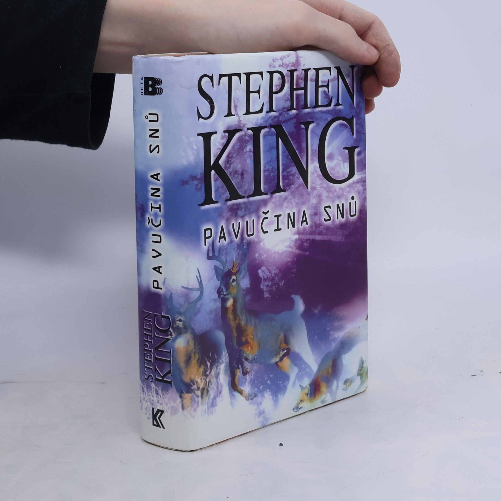 Stephen King Pavučina snů