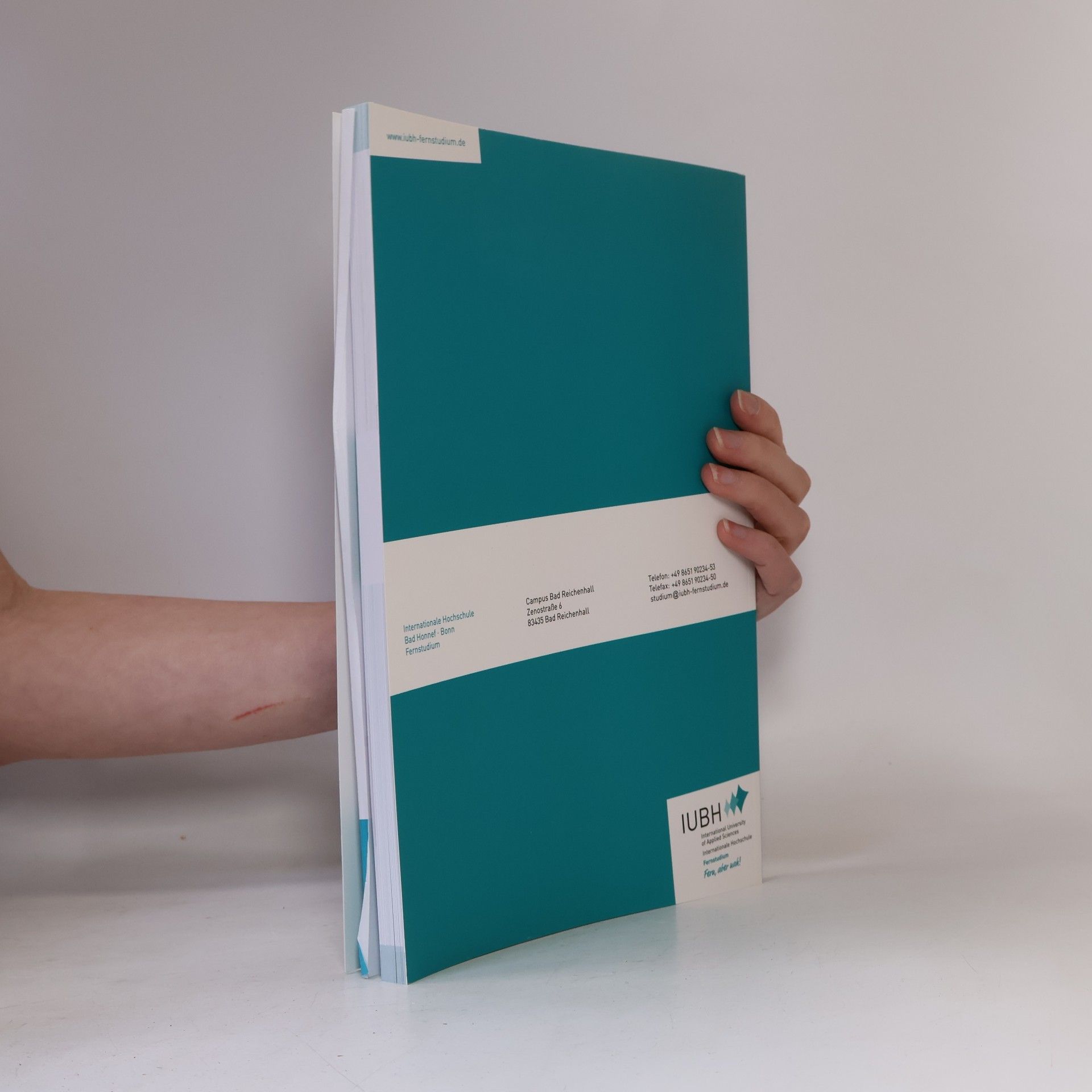 Autorenkollektiv Einführung in das wissenschaftliche Arbeiten. Studienskript. Bachelor-BWIR01
