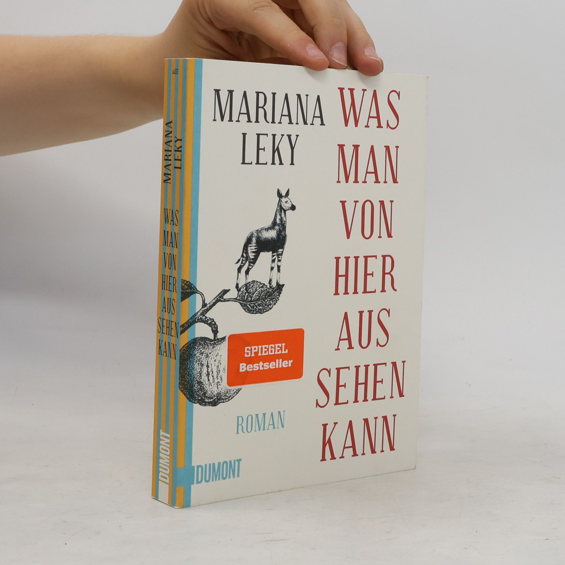 Mariana Leky Was man von hier aus sehen kann