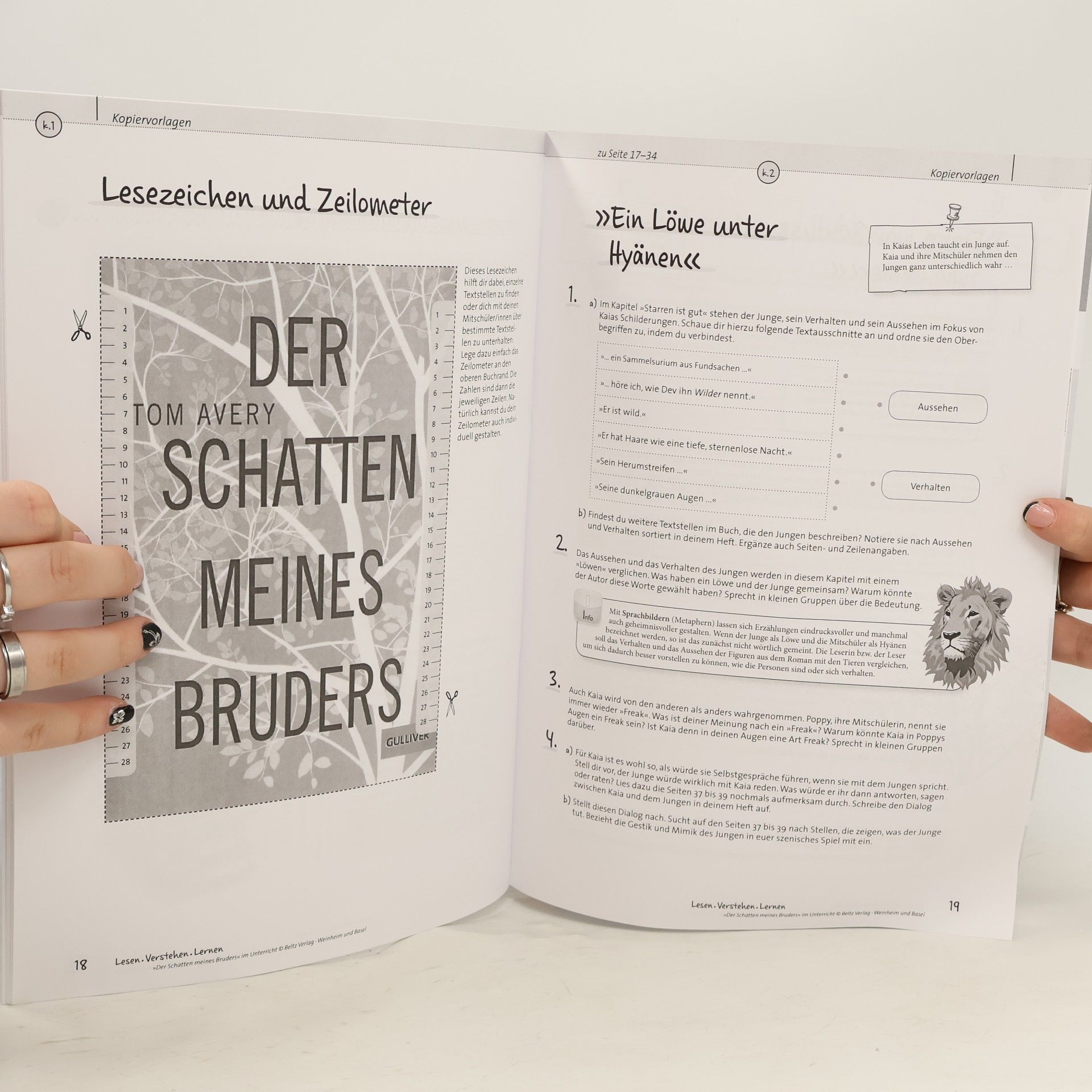 Daniela Sturm Der Schatten meines Bruders im Unterricht
