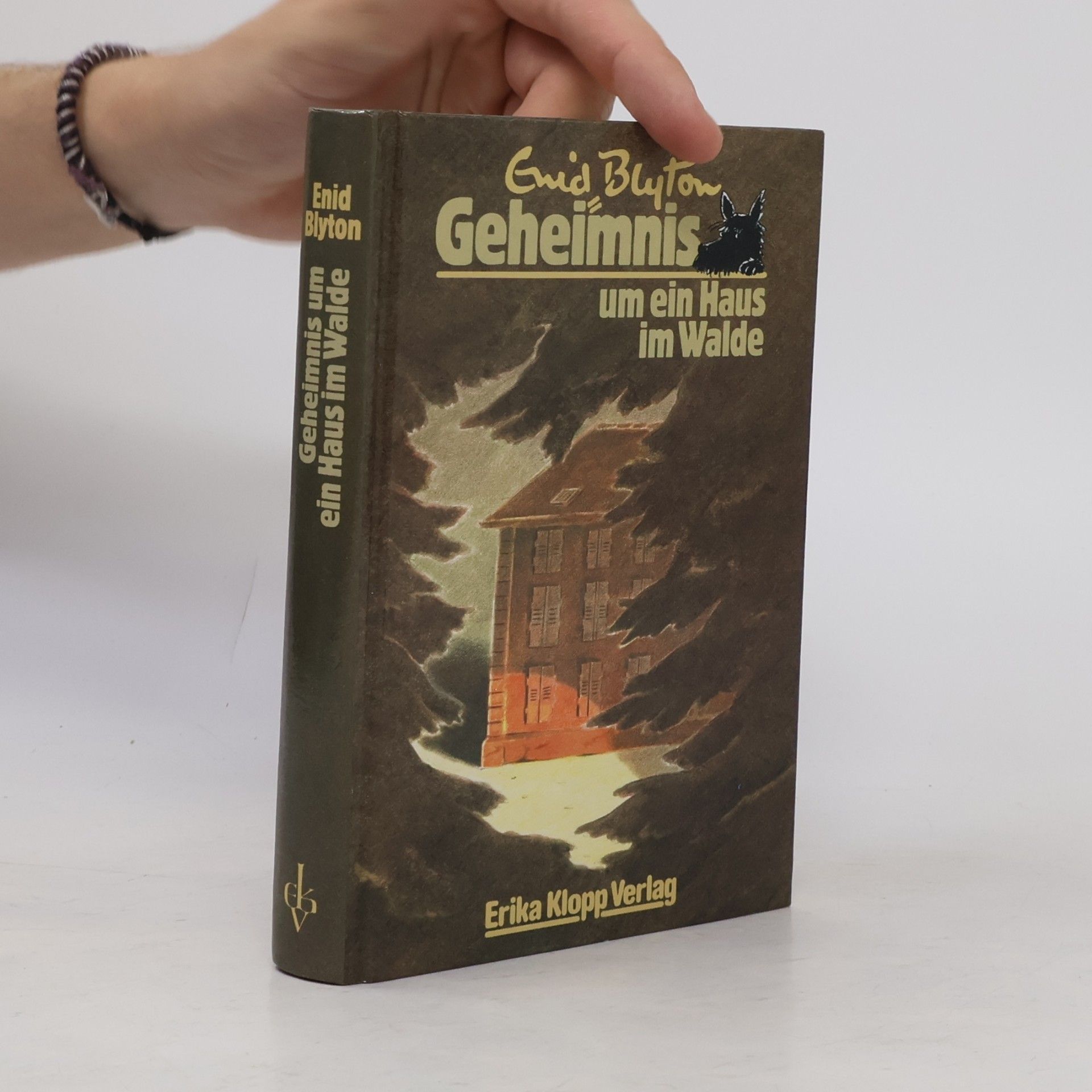 Enid Blyton Geheimnis um ein Haus im Walde