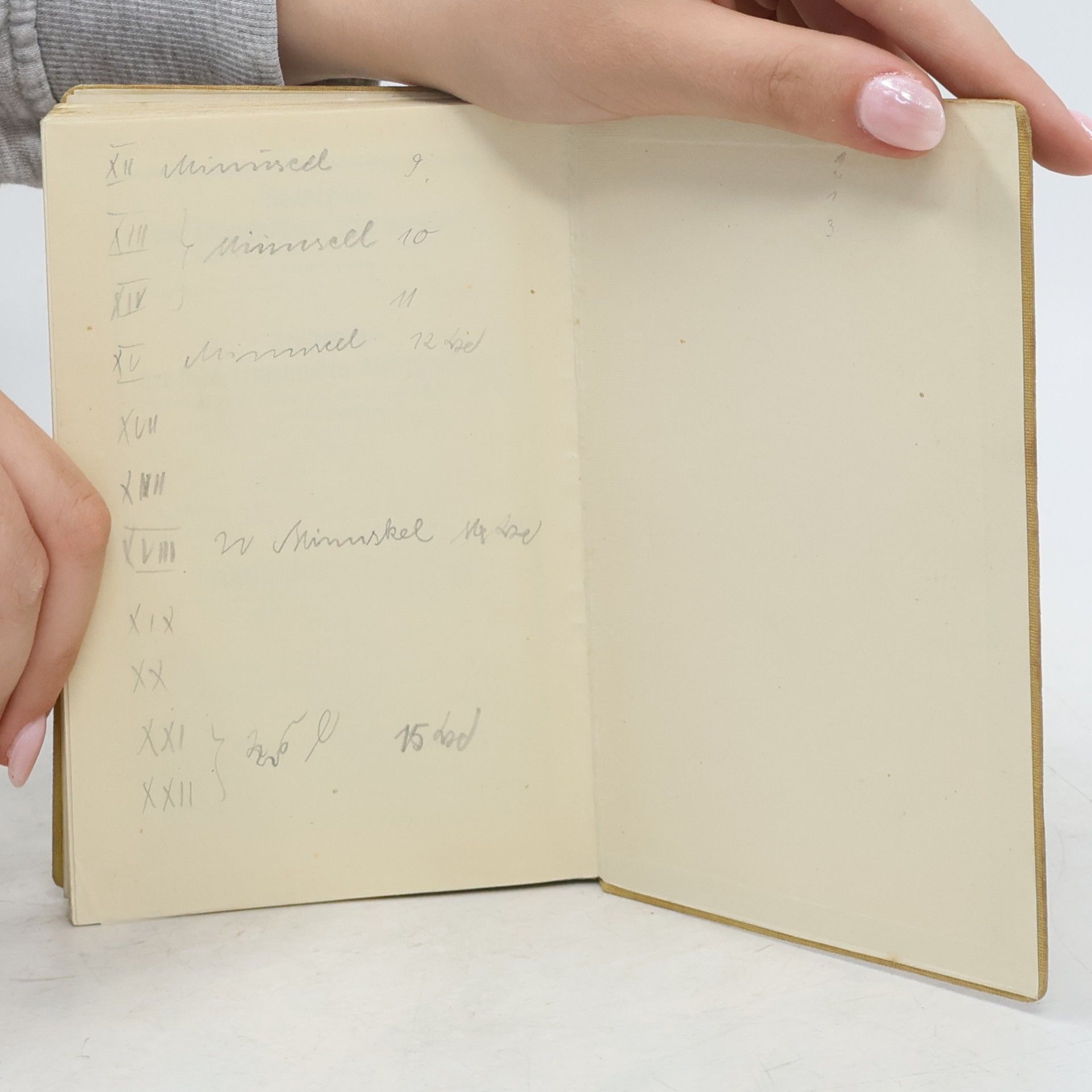 Moritz Hoernes Urgeschichte der Menschheit 42
