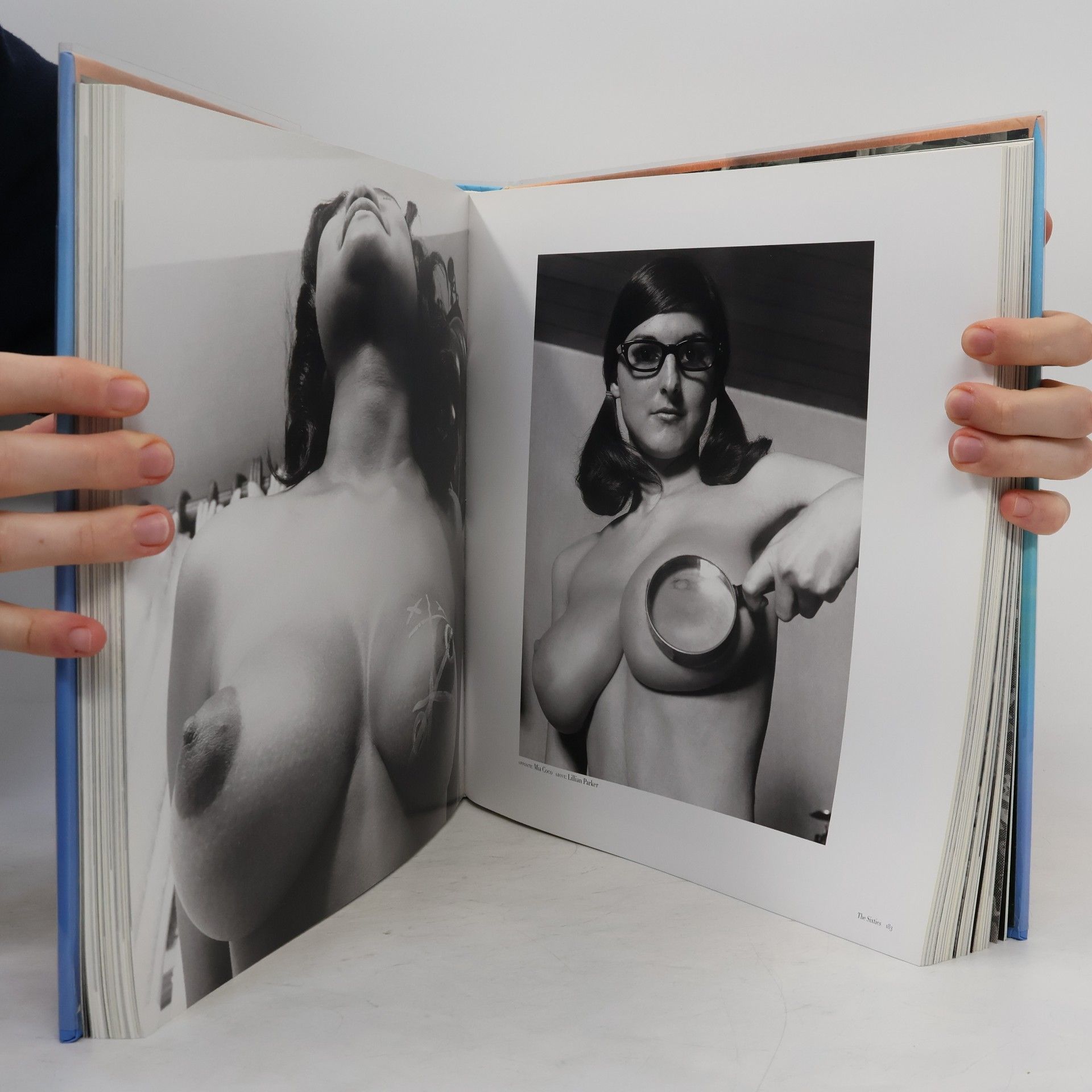 Dian Hanson The big book of breasts