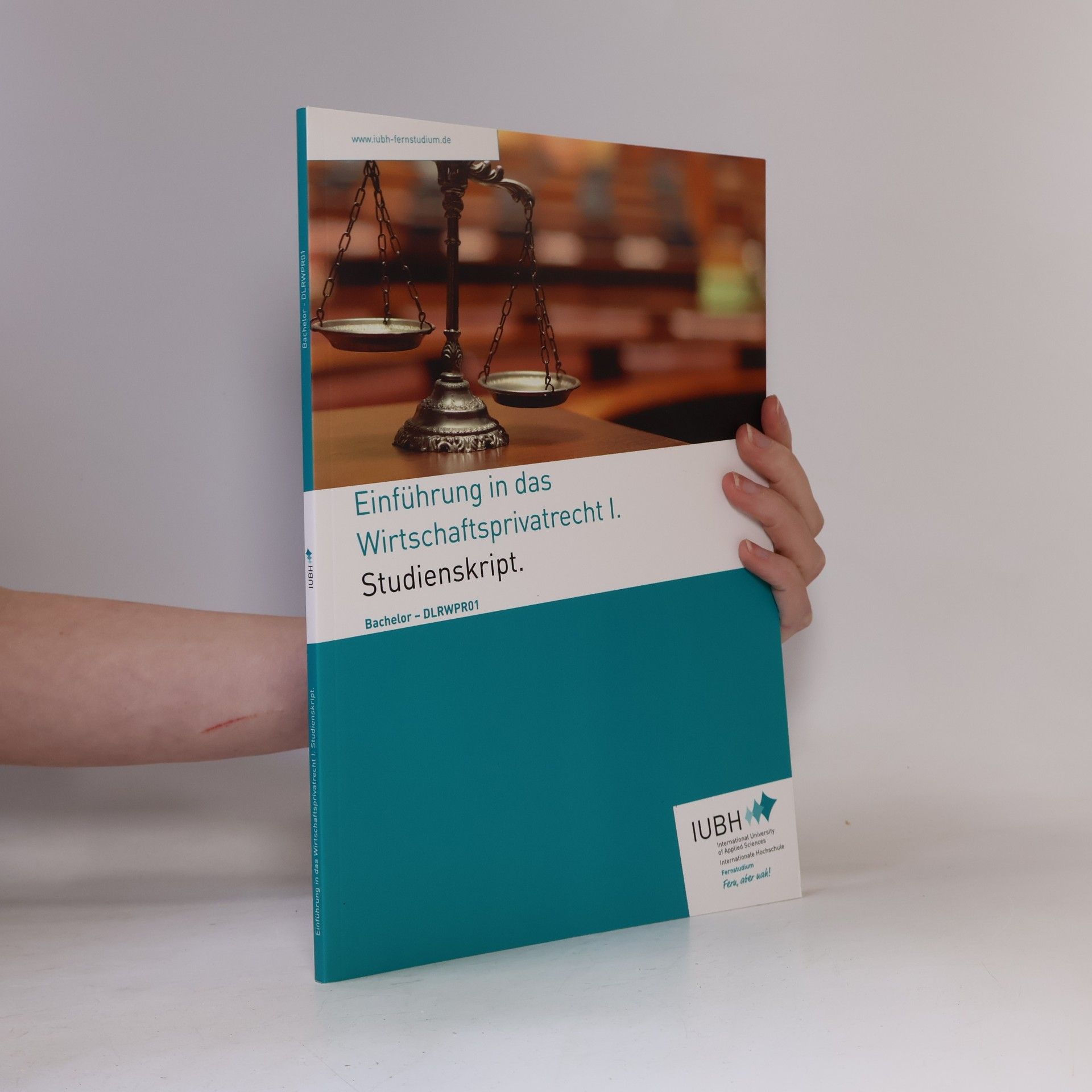 Autorenkollektiv Einführung in das Wirtschaftsprivatrecht I.