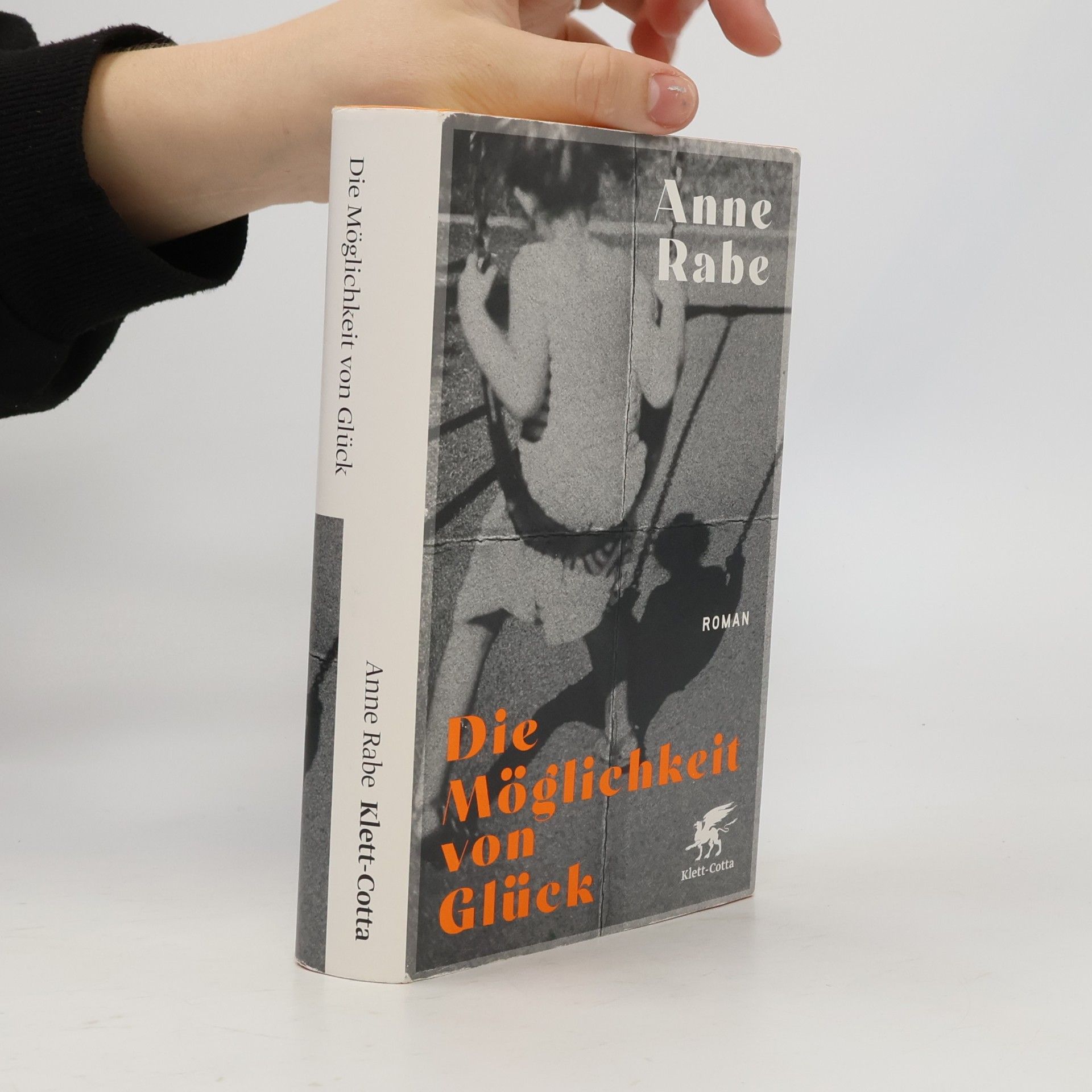 Anne Rabe Die Möglichkeit von Glück