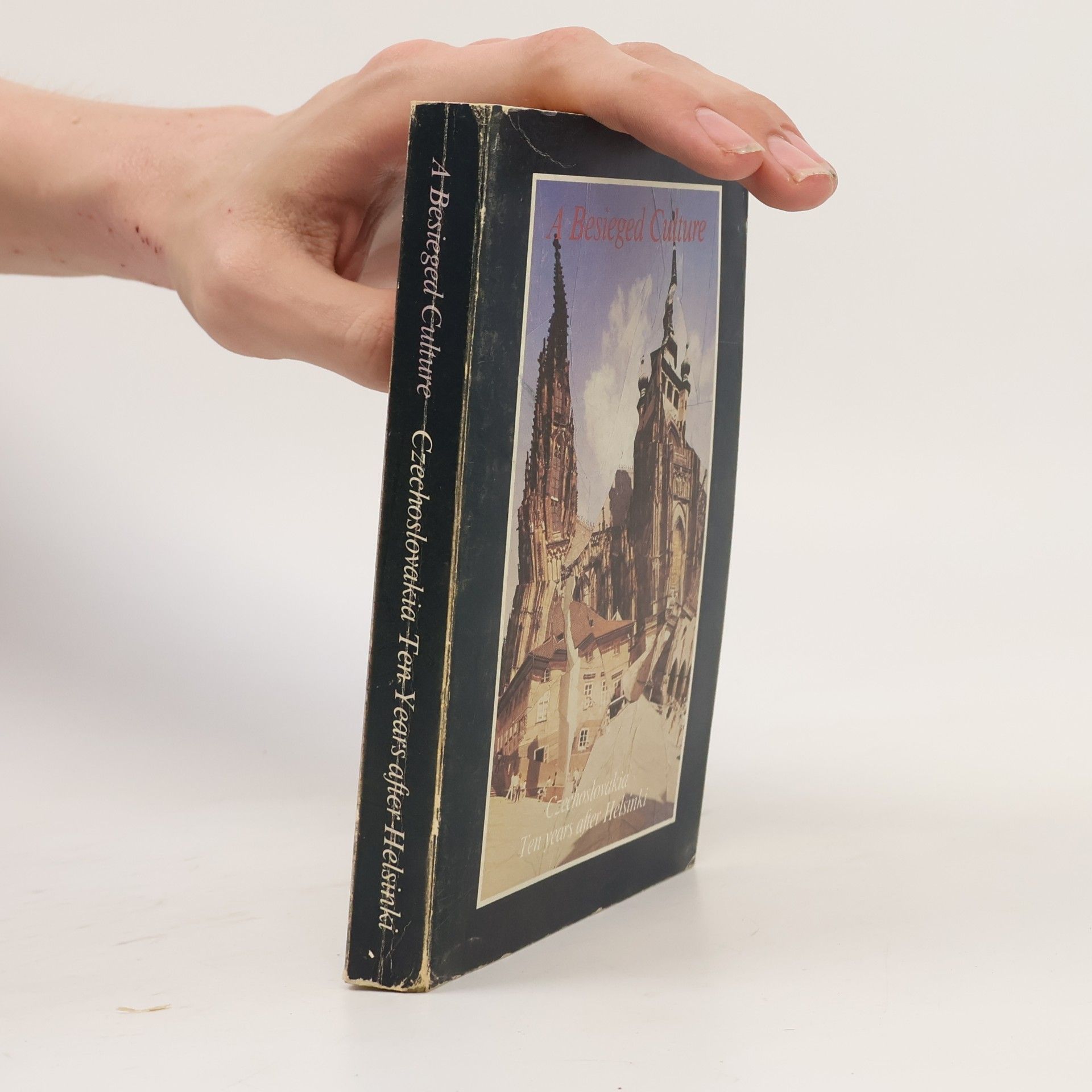 Autores varios A Besieged Culture : Czechoslovakia Ten Years after Helsinki