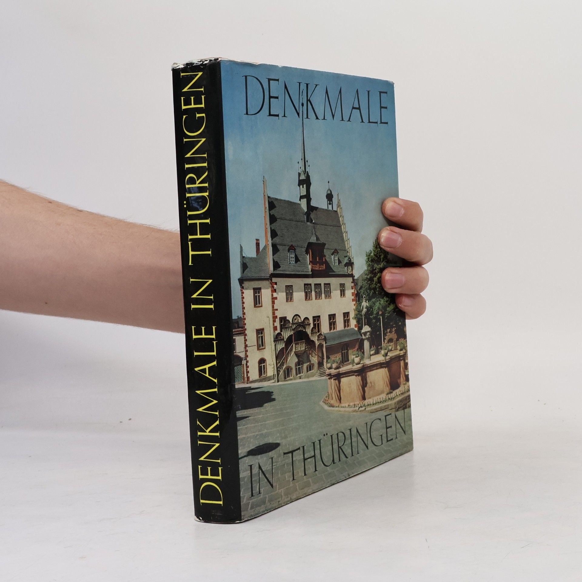 Kolektiv autorů Denkmale in Thüringen