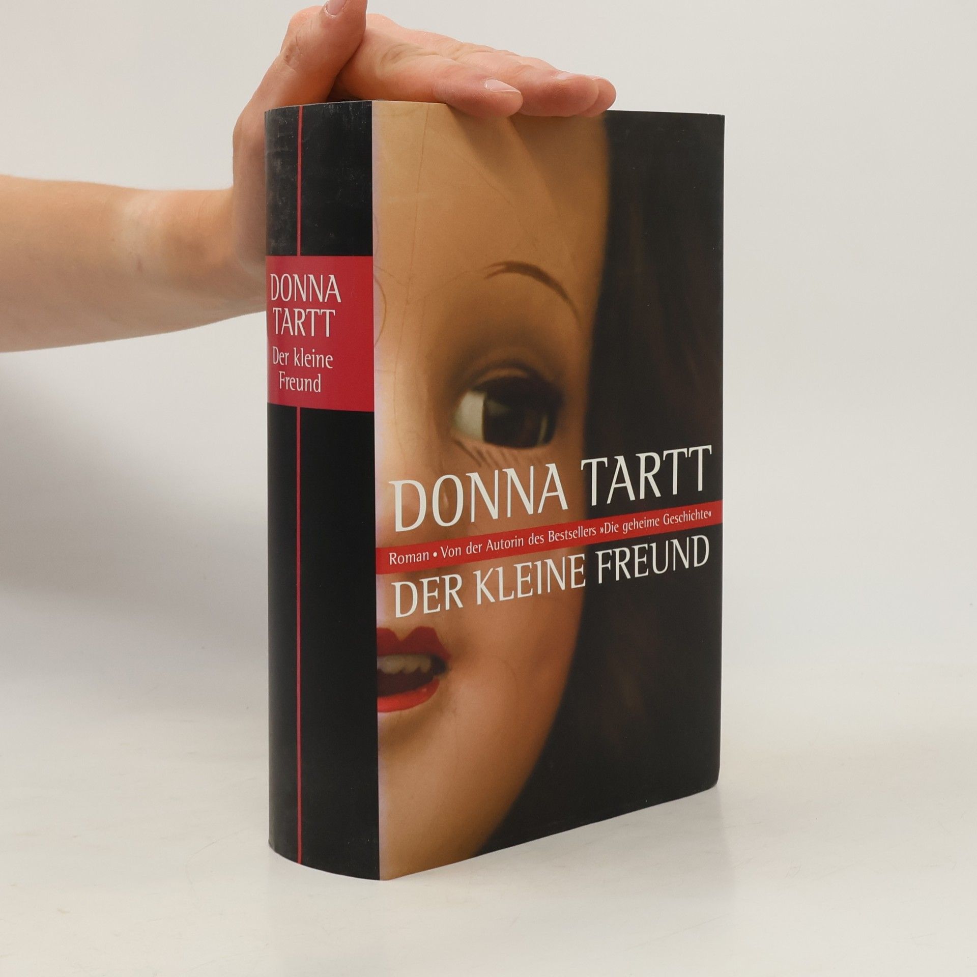 Donna Tartt Der kleine Freund