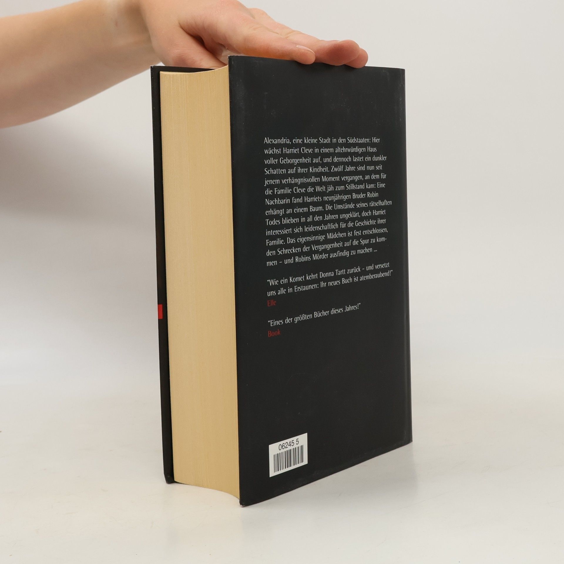 Donna Tartt Der kleine Freund