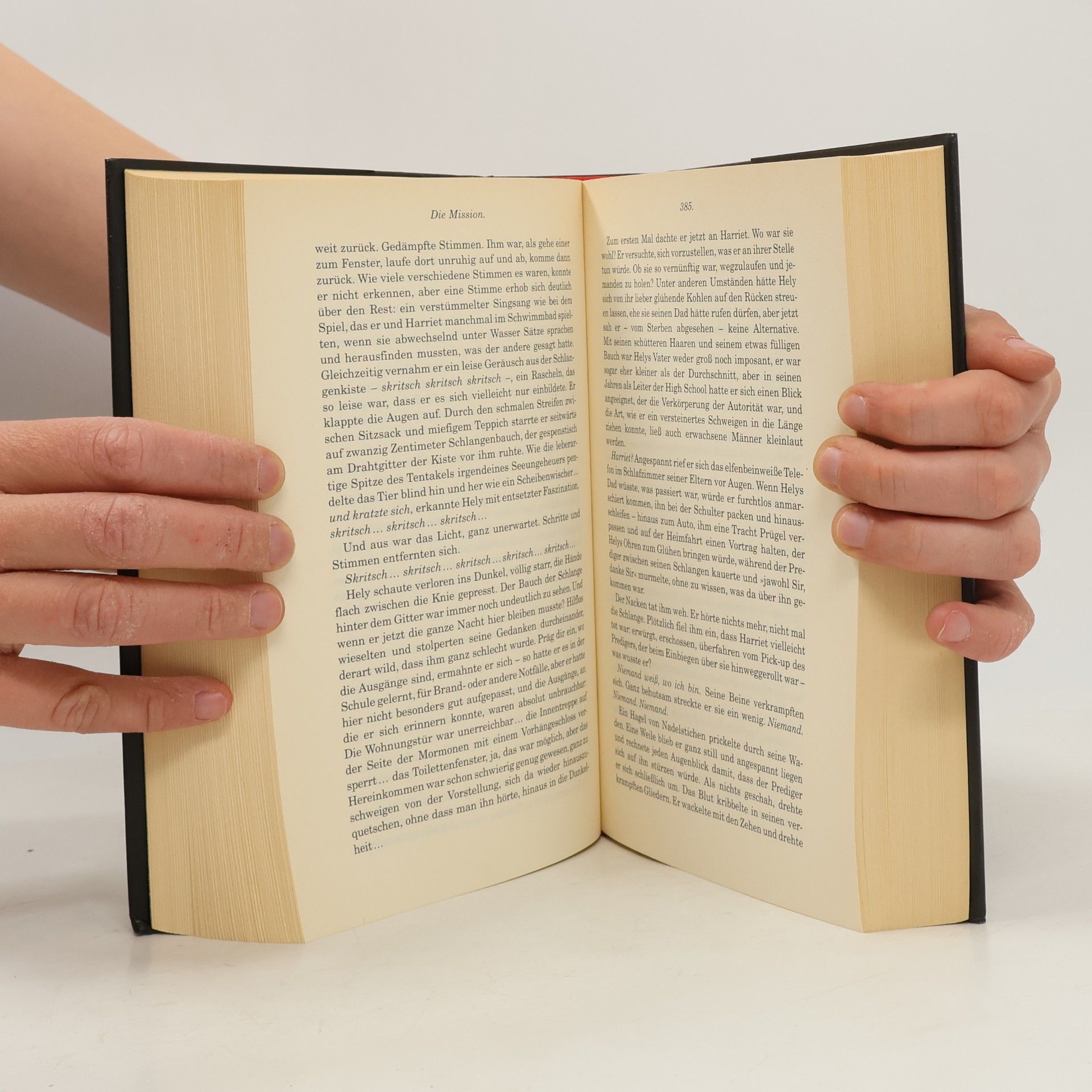 Donna Tartt Der kleine Freund