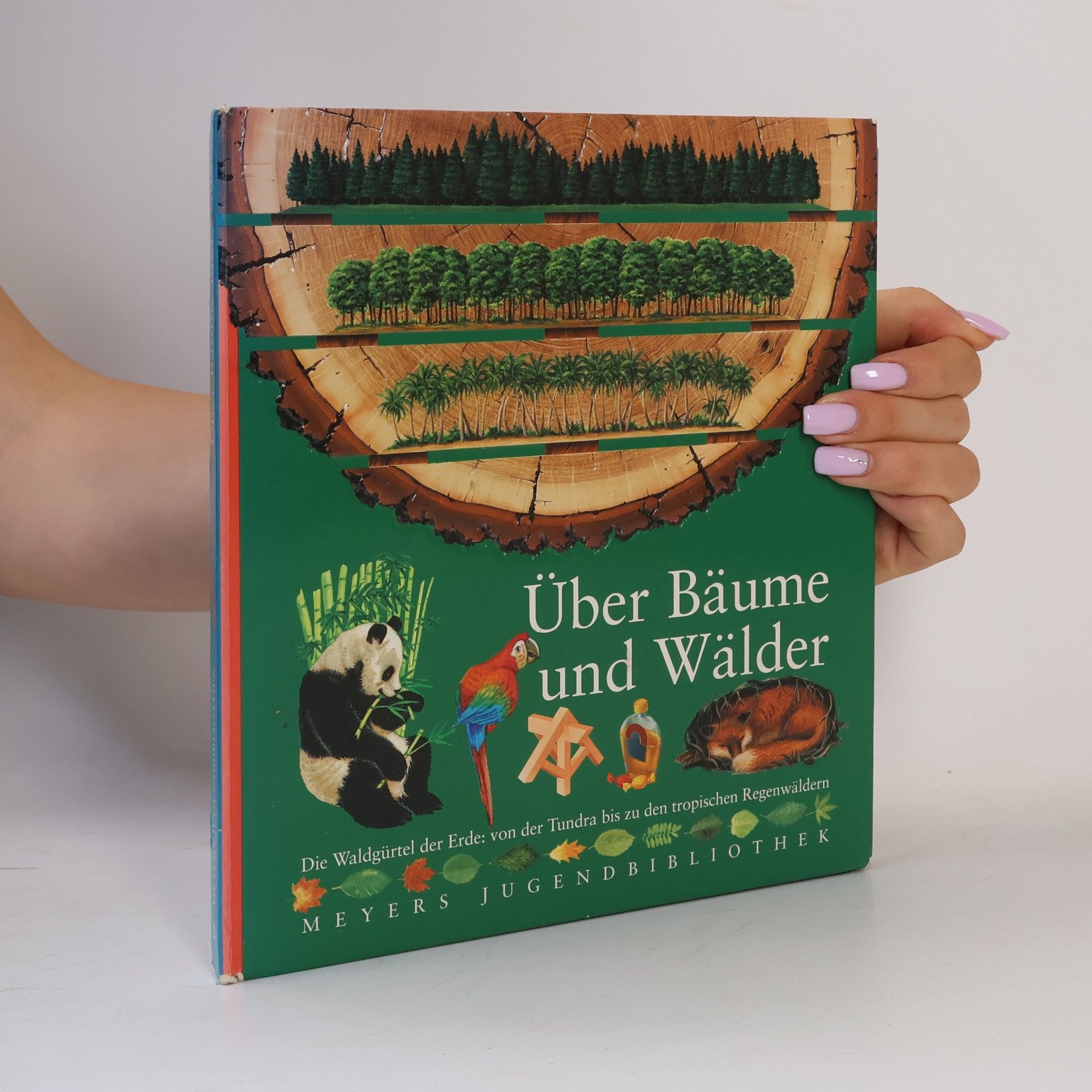Über Bäume und Wälder