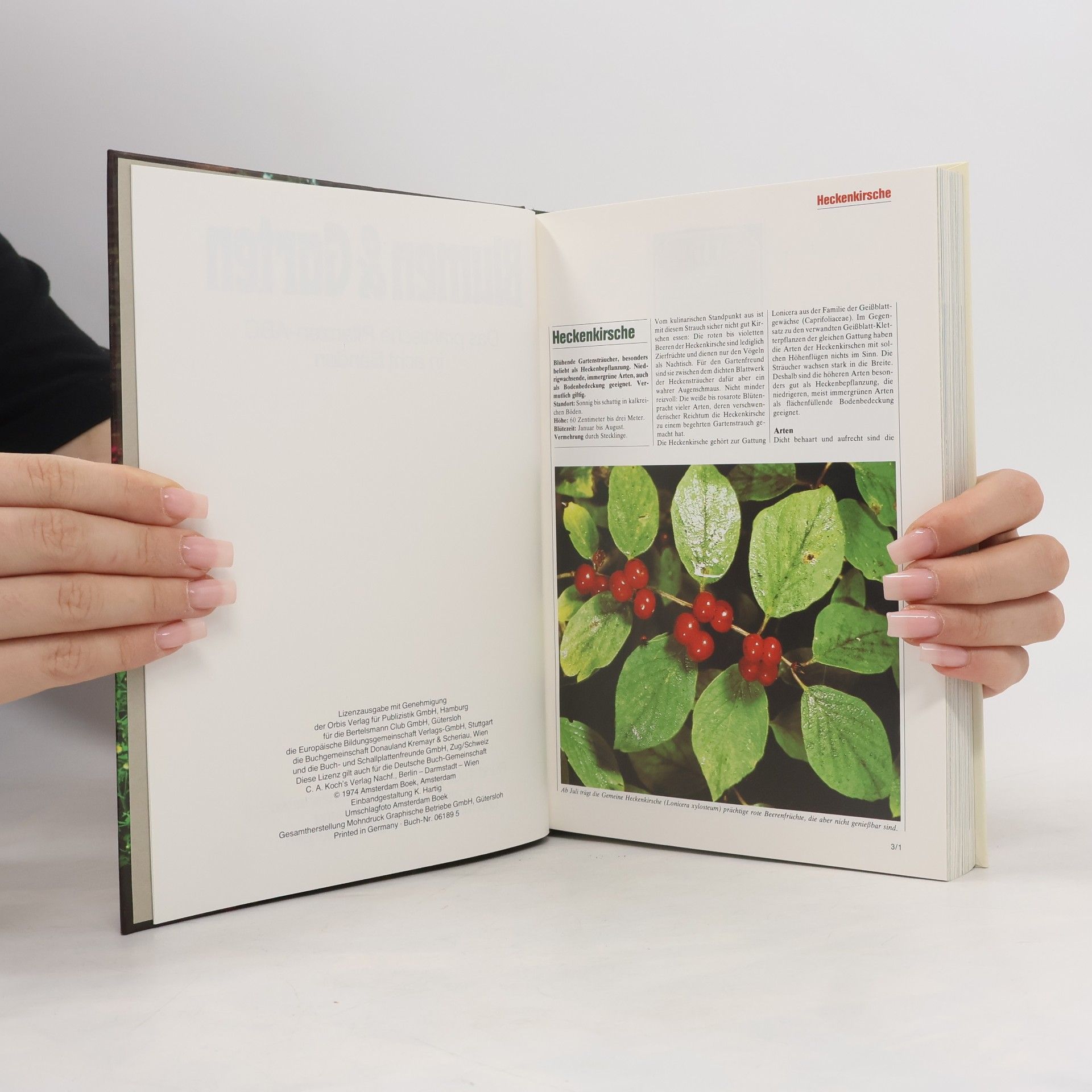 kolektiv Blumen und Garten. Das praktische Pflanzen ABC 3