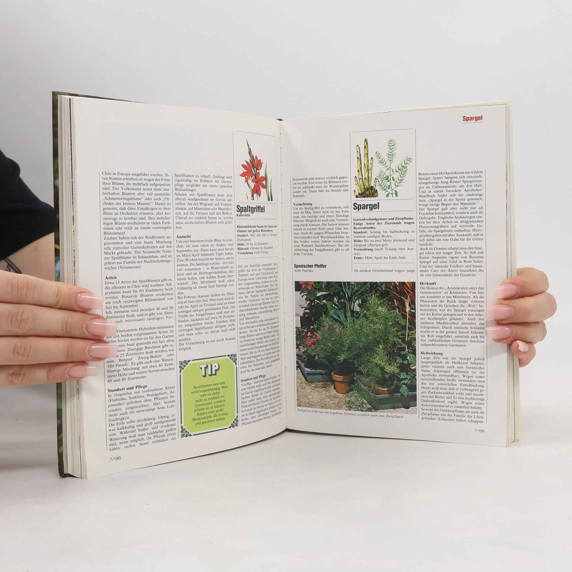 Kolektiv autorů Blumen & Garten 7. Das praktische Pflanzen-ABC
