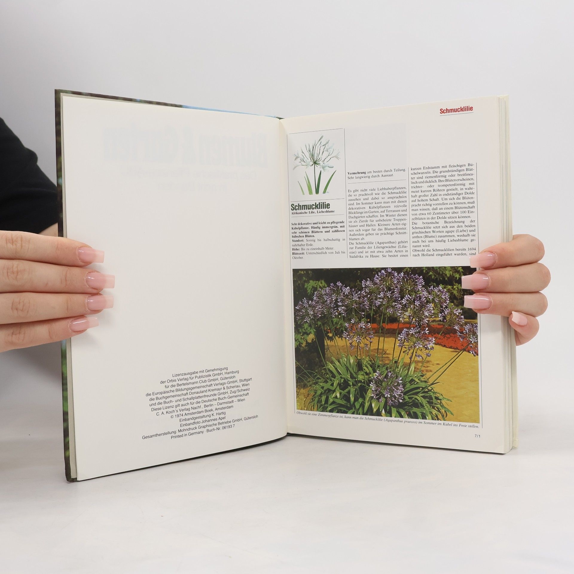 Kolektiv autorů Blumen & Garten 7. Das praktische Pflanzen-ABC