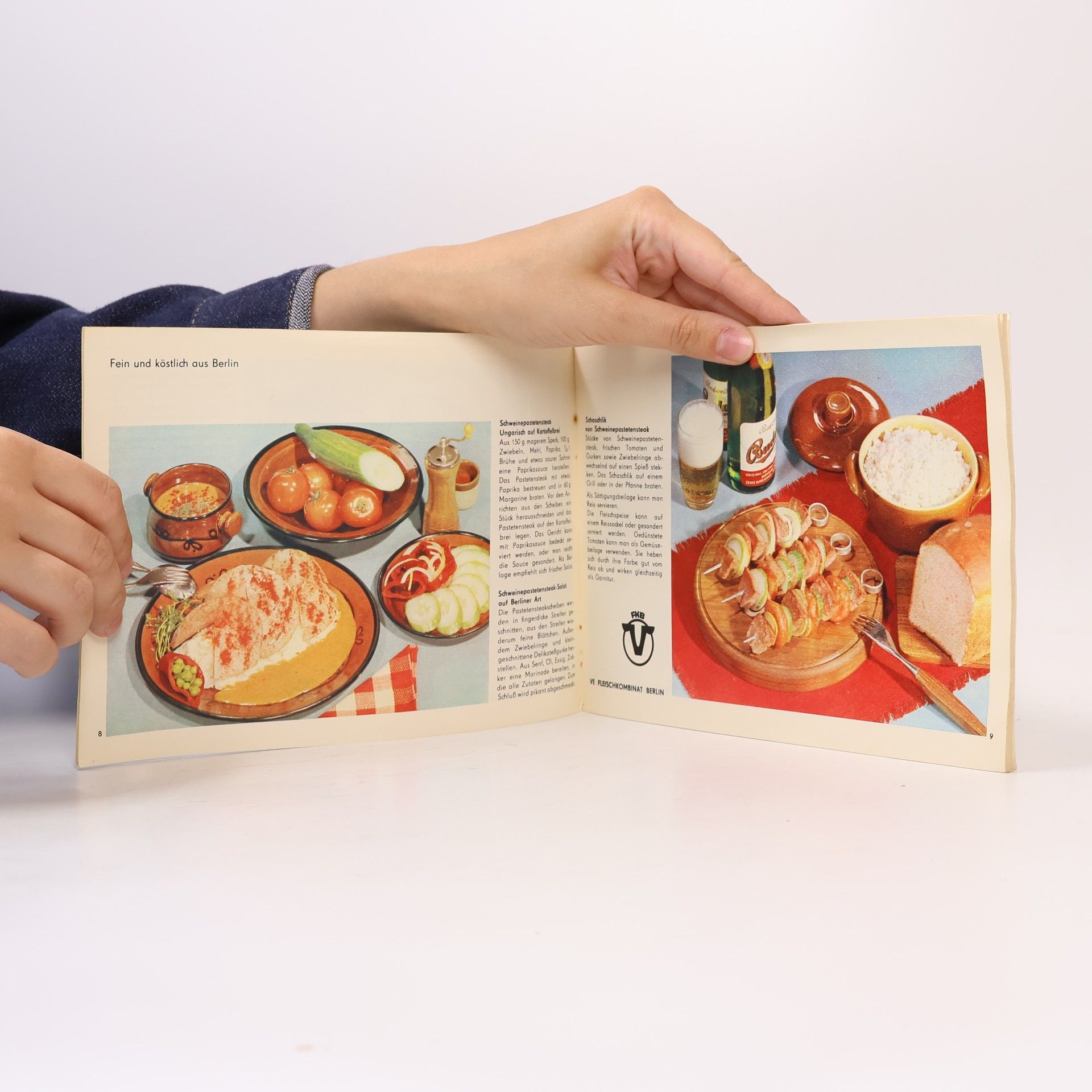 kolektiv Das schnelle Schnitzel