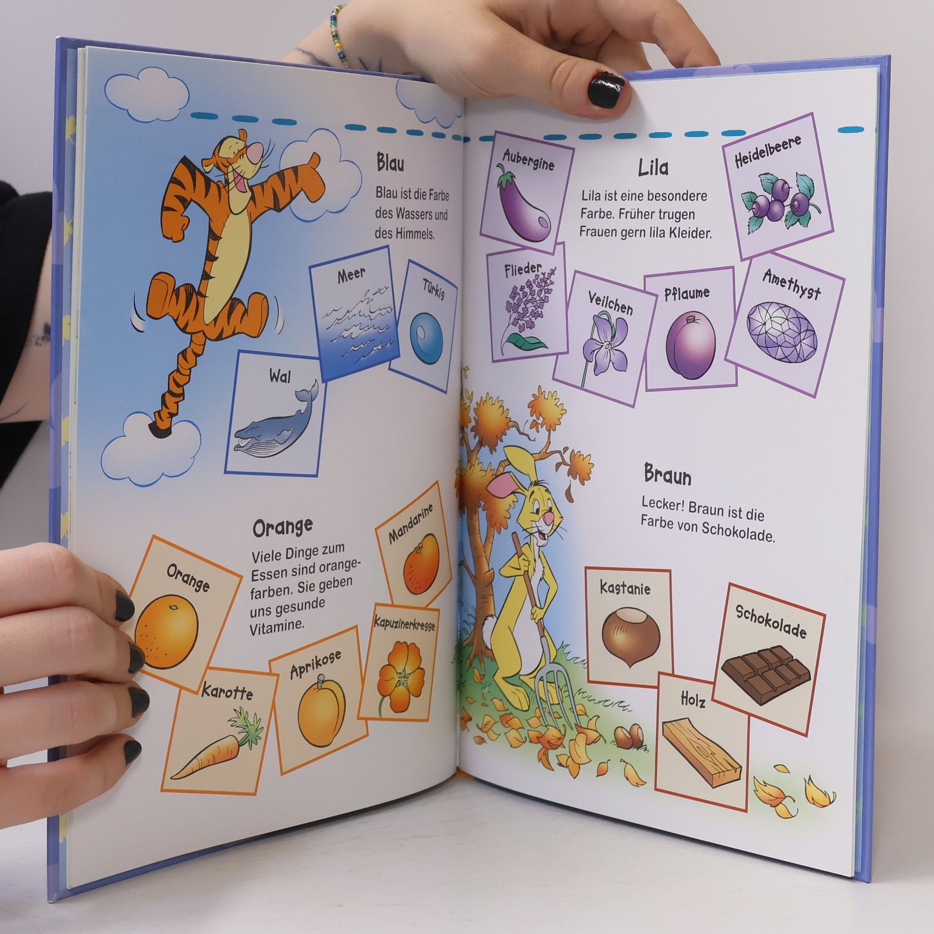 Autorenkollektiv Winnie Puuh. Entdecke Farben
