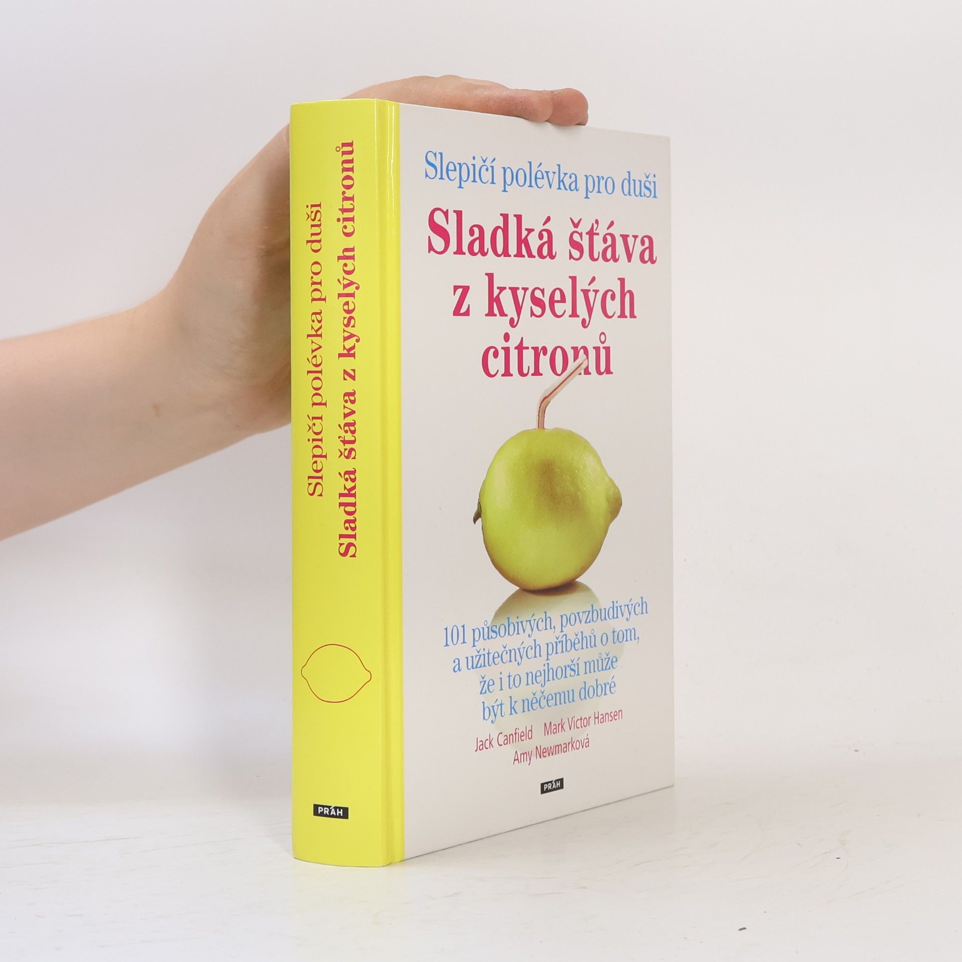 Amy Newmark Slepičí polévka pro duši : sladká šťáva z kyselých citronů