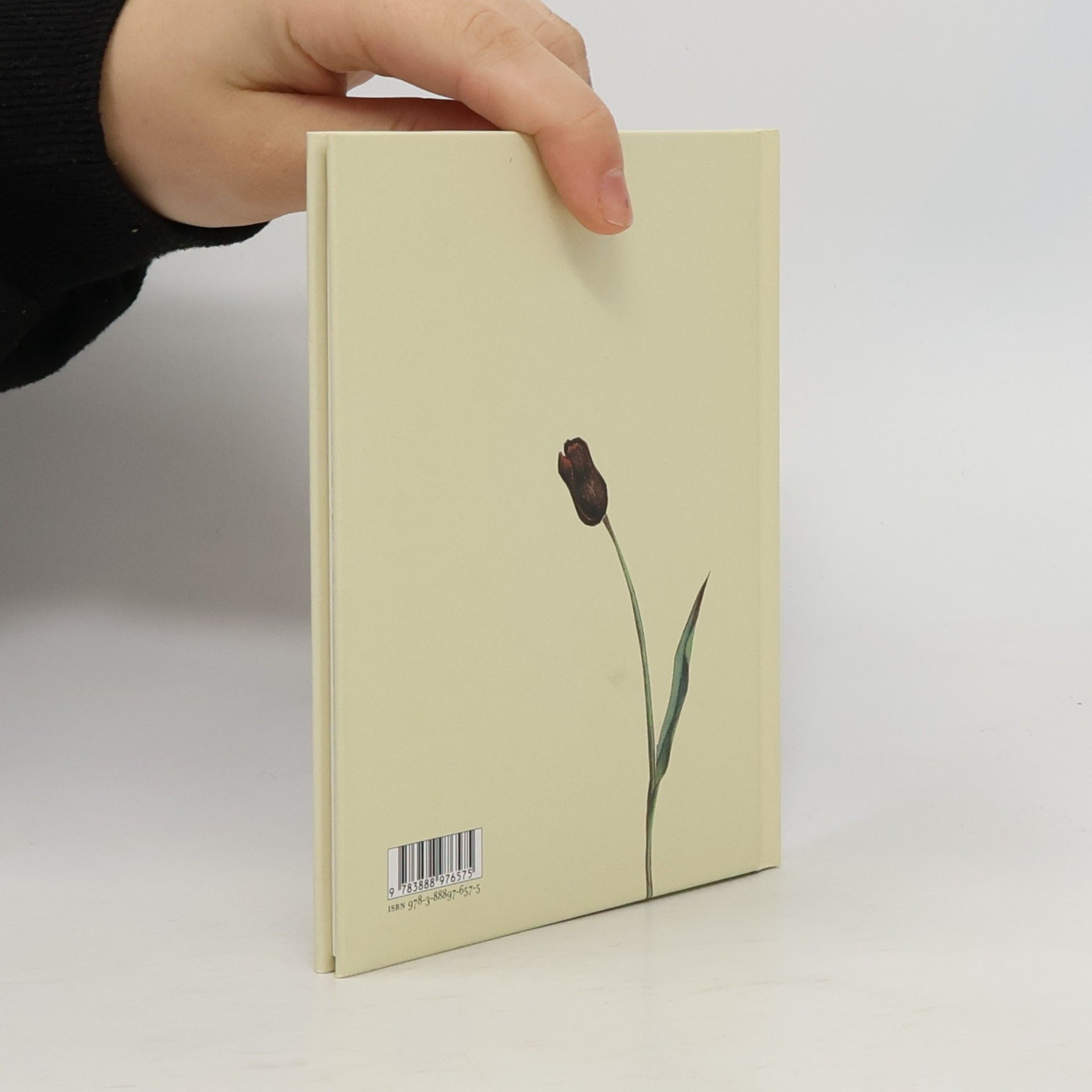 Wolf Erlbruch Ente, Tod und Tulpe, kleine Ausgabe