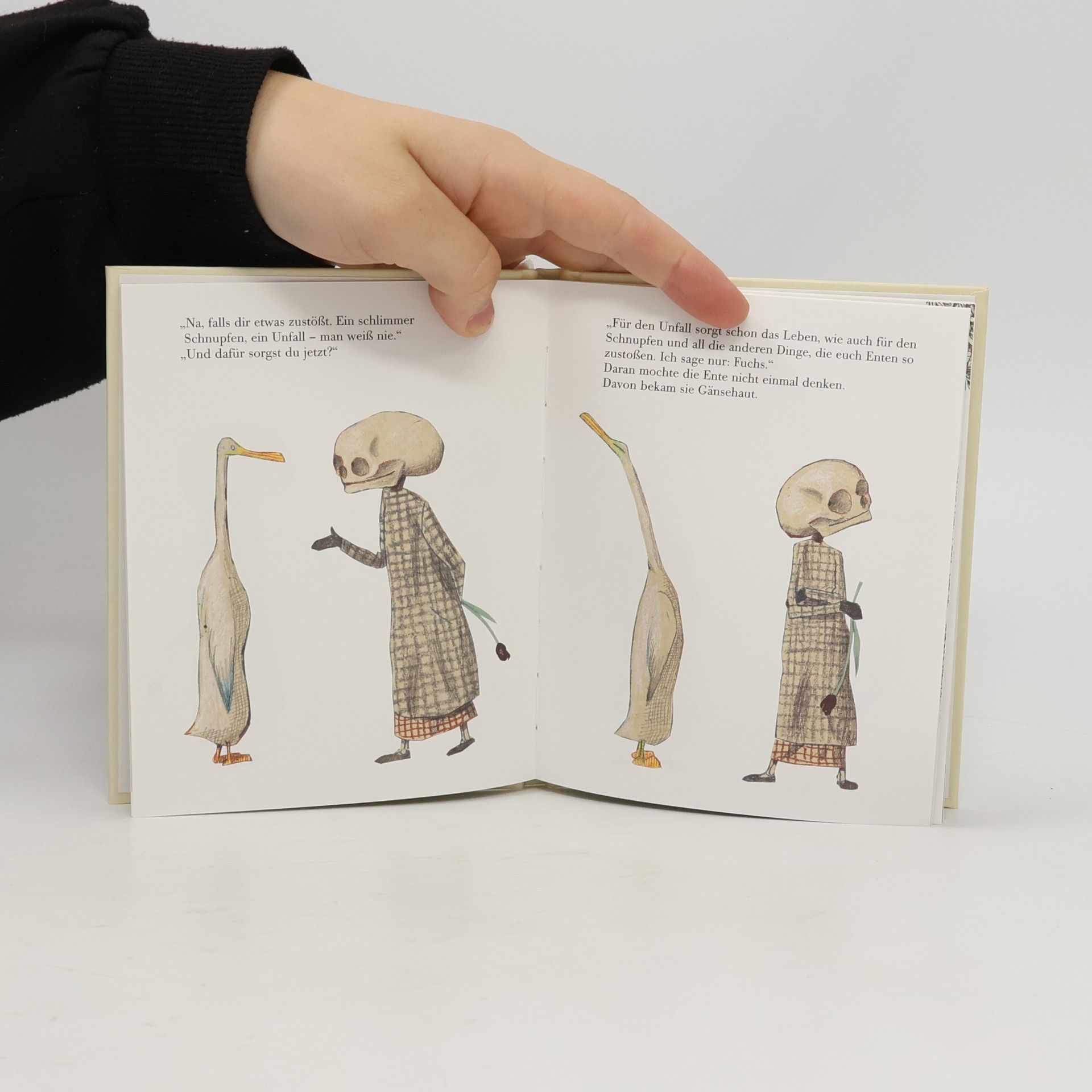Wolf Erlbruch Ente, Tod und Tulpe, kleine Ausgabe