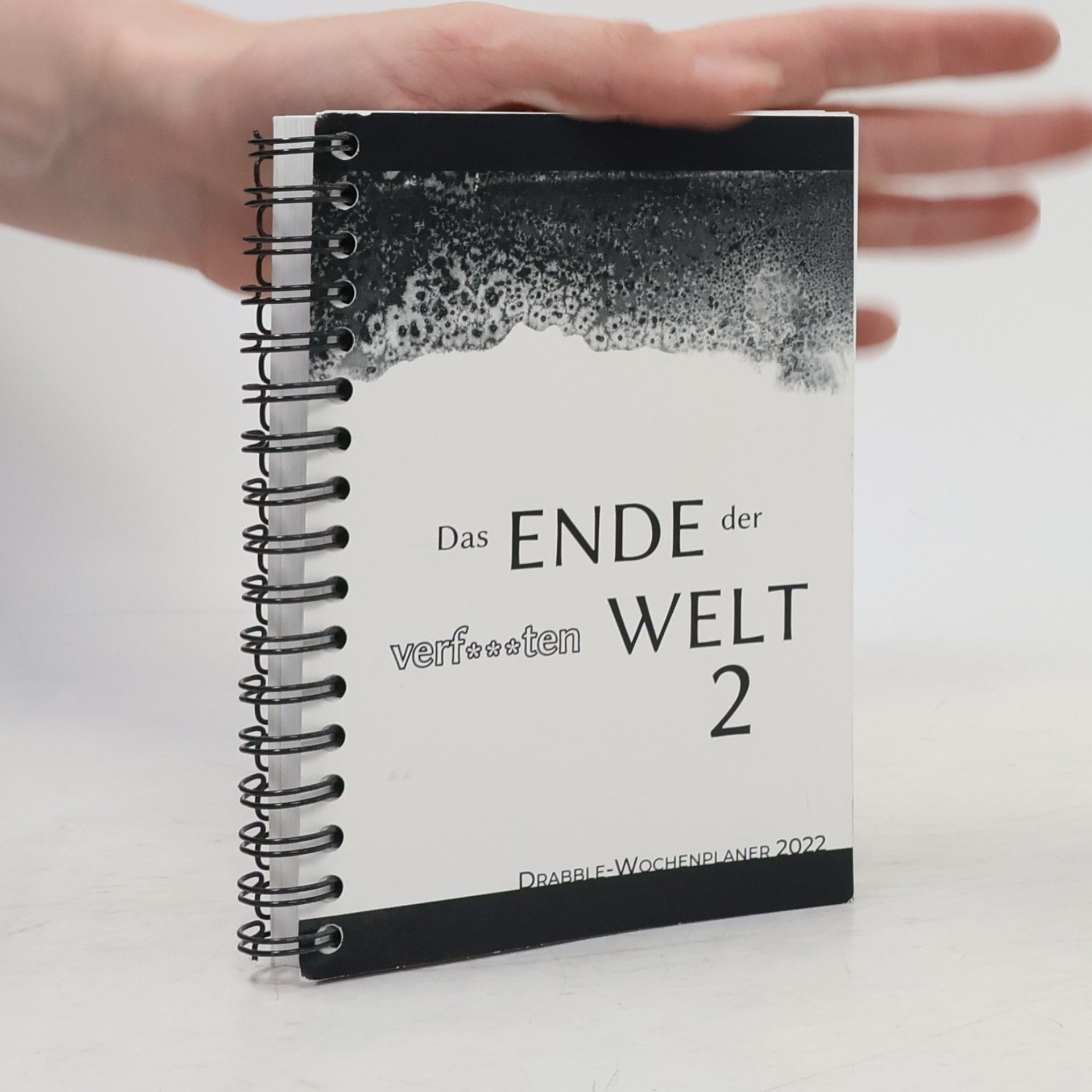 Jan Weidner Das Ende der verfluchten Welt 2