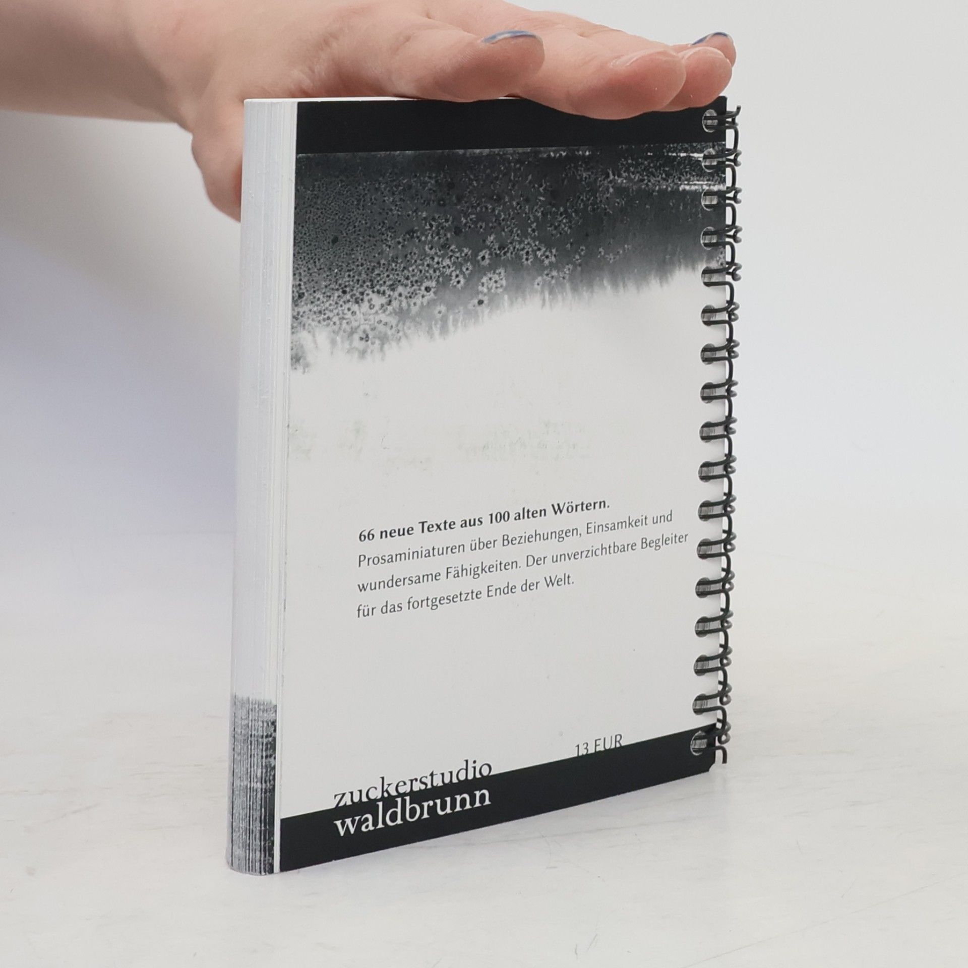 Jan Weidner Das Ende der verfluchten Welt 2
