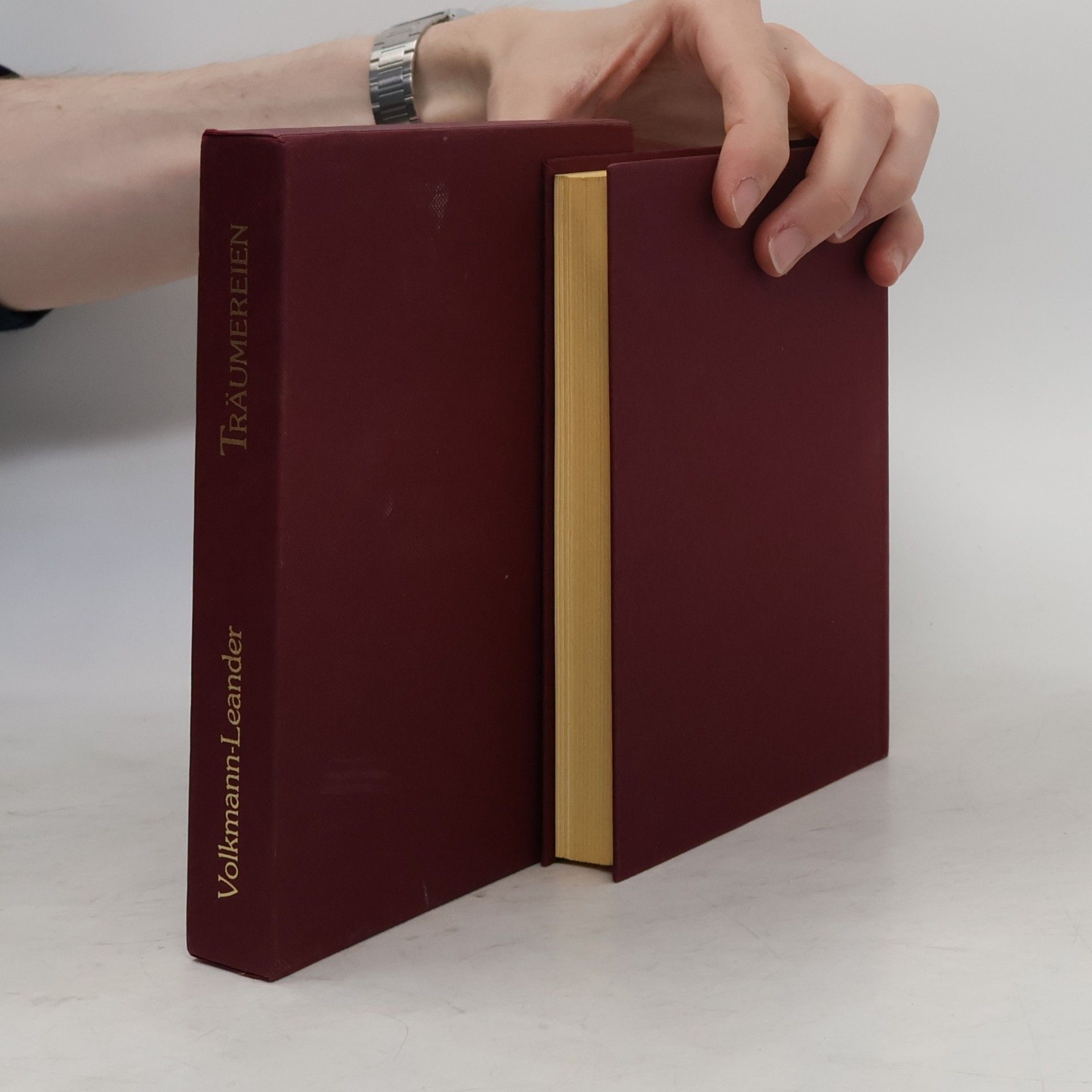 Richard von Volkmann-Leander Träumereien an französischen Kaminen