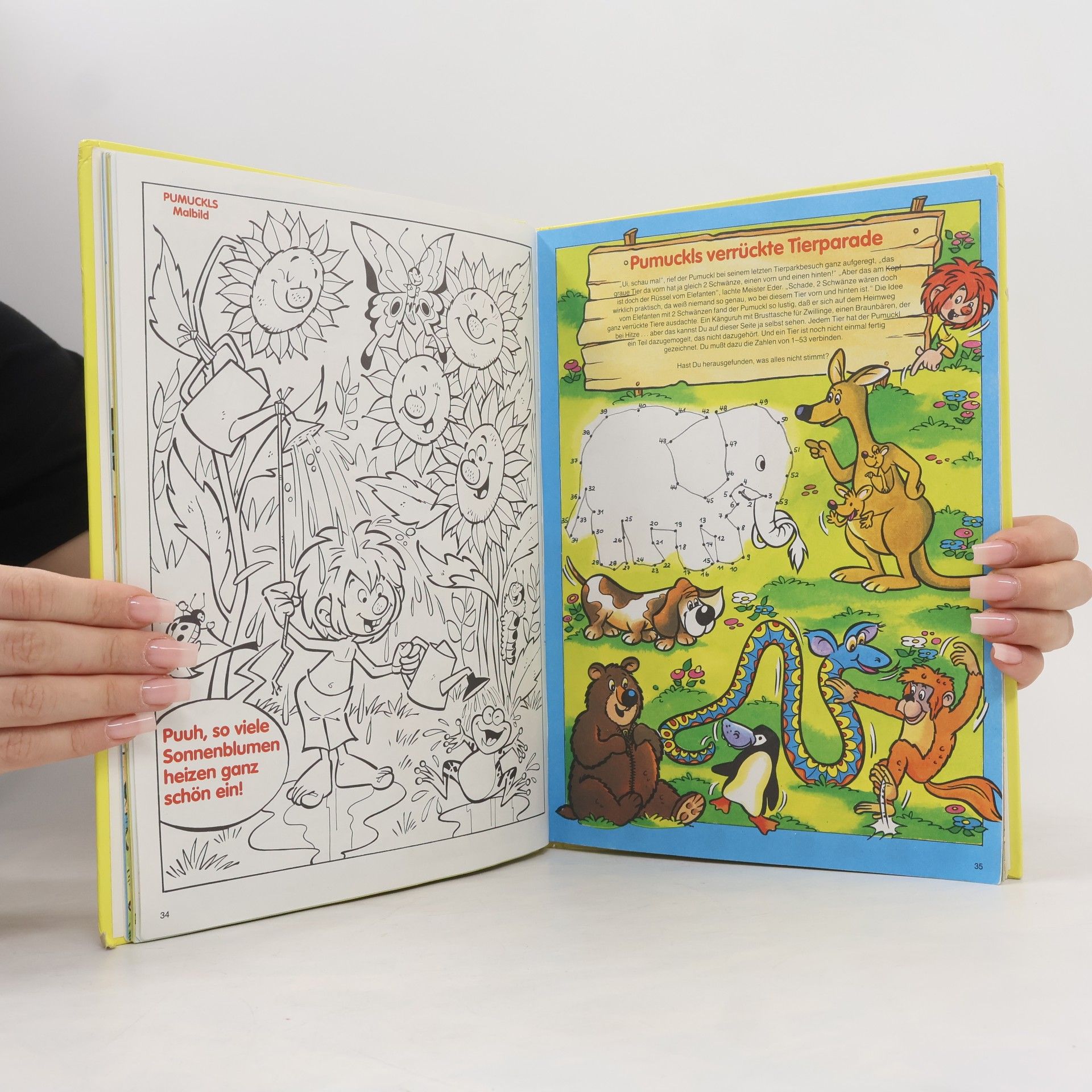 Collectif d'auteurs Pumuckl