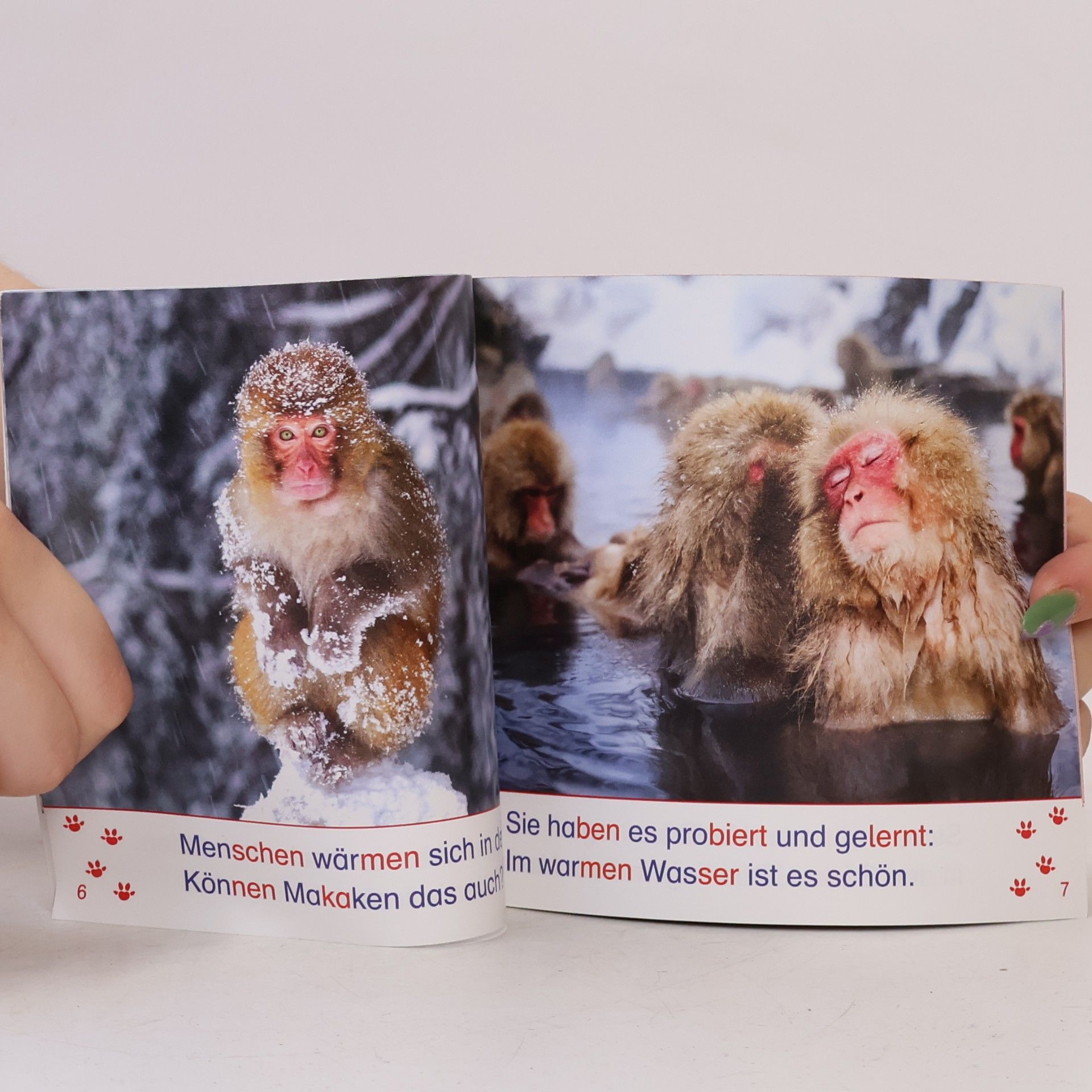 Nicole Brandau Lesestart mit Eberhart - 3: So lernen Tiere