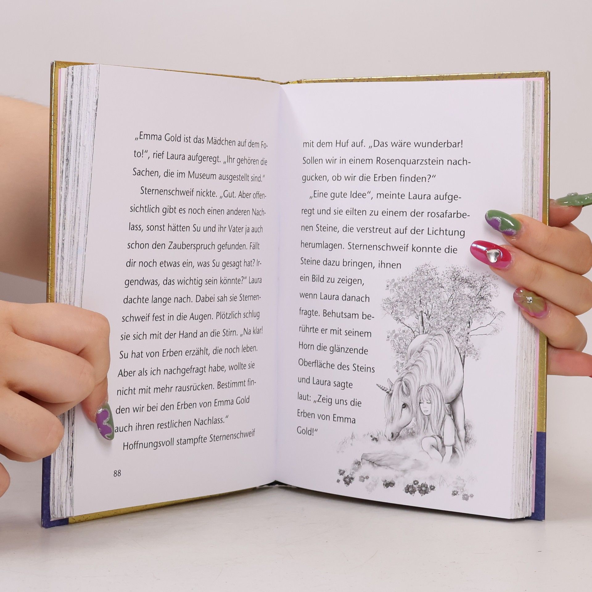 Carolin Ina Schröter Sternenschweif - das geheime Zauberbuch