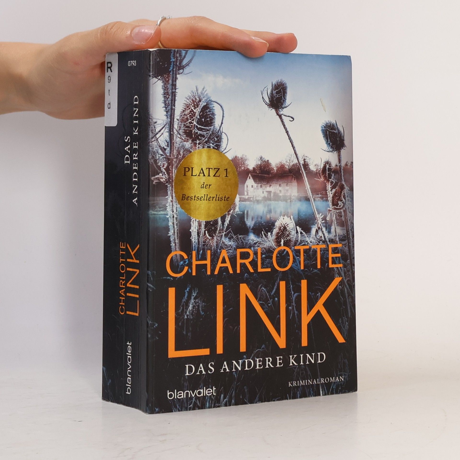 Charlotte Link Das andere Kind