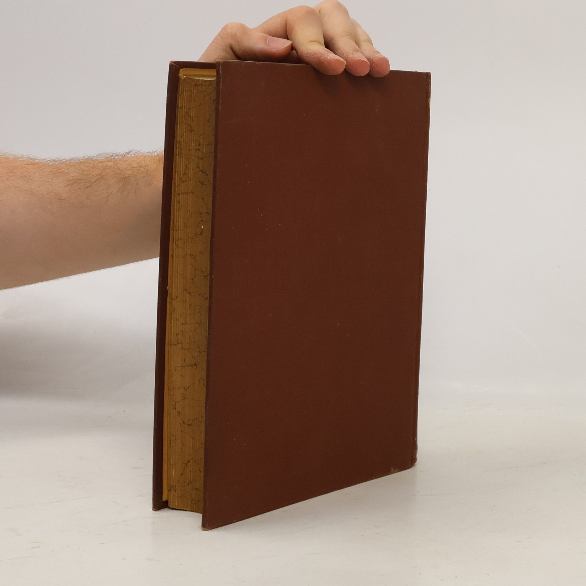 Gottfried Semper Kleine Schriften