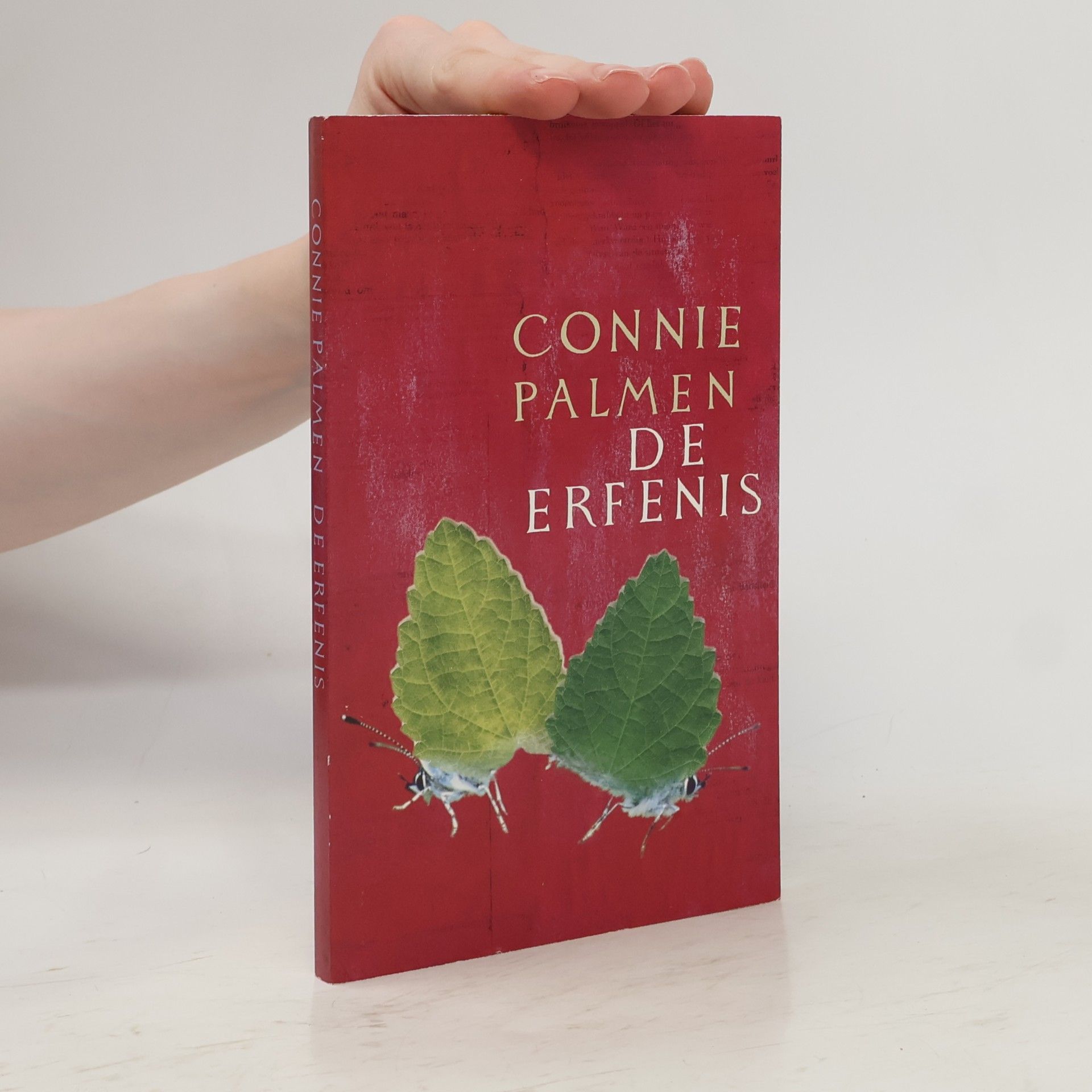 Connie Palmen De erfenis