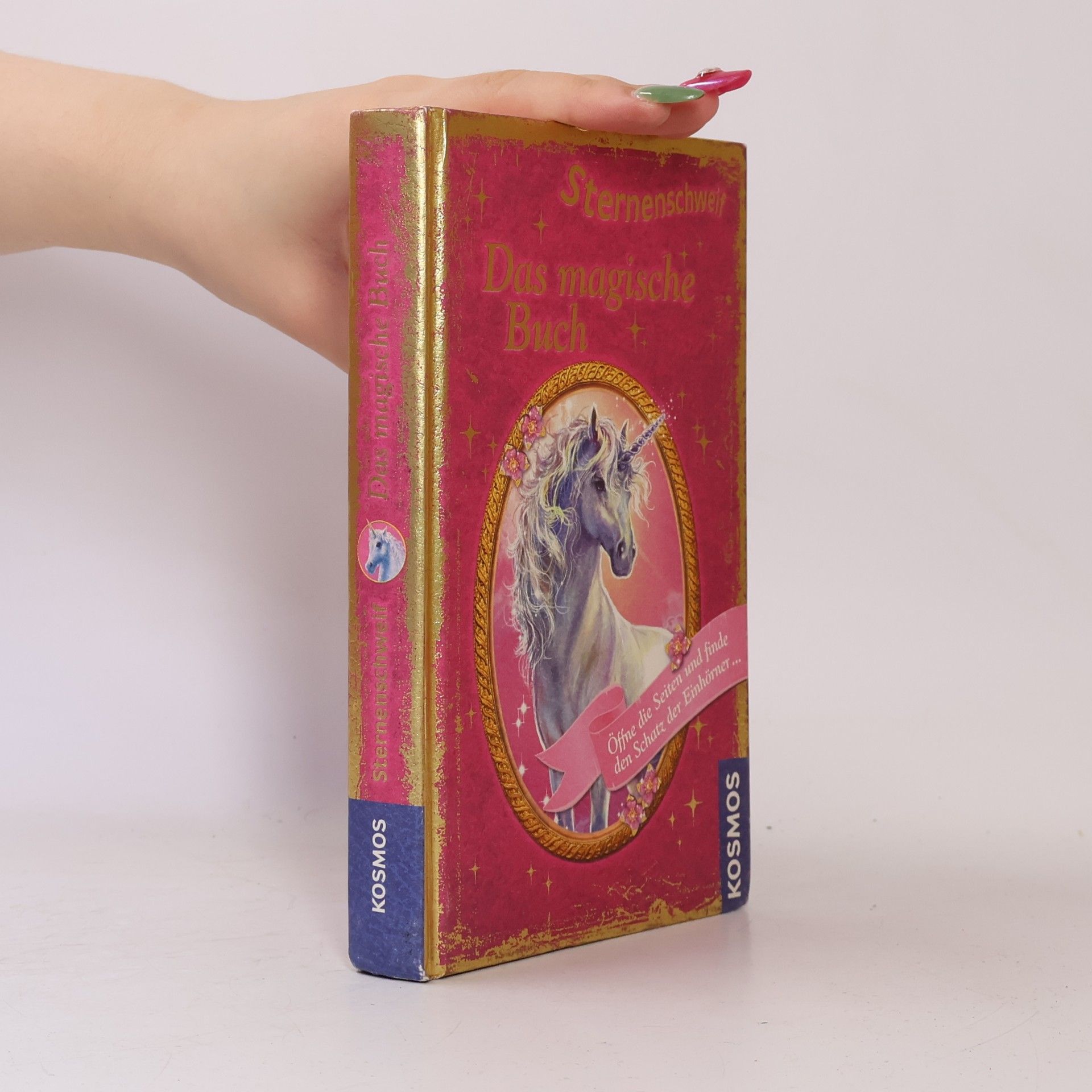 Carolin Ina Schröter Sternenschweif - das magische Buch