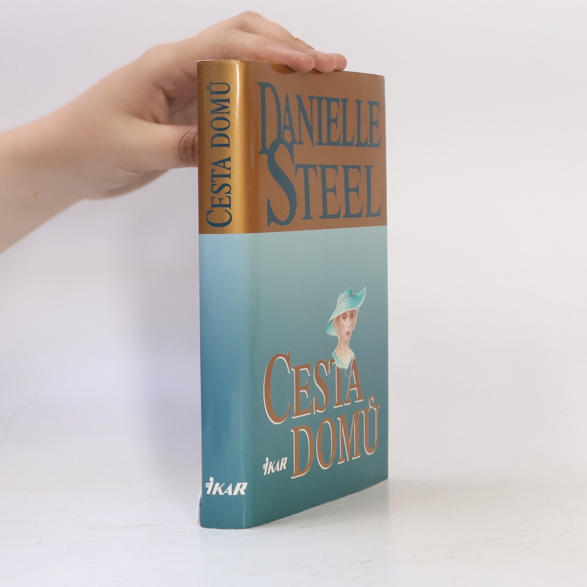 Danielle Steel Cesta domů
