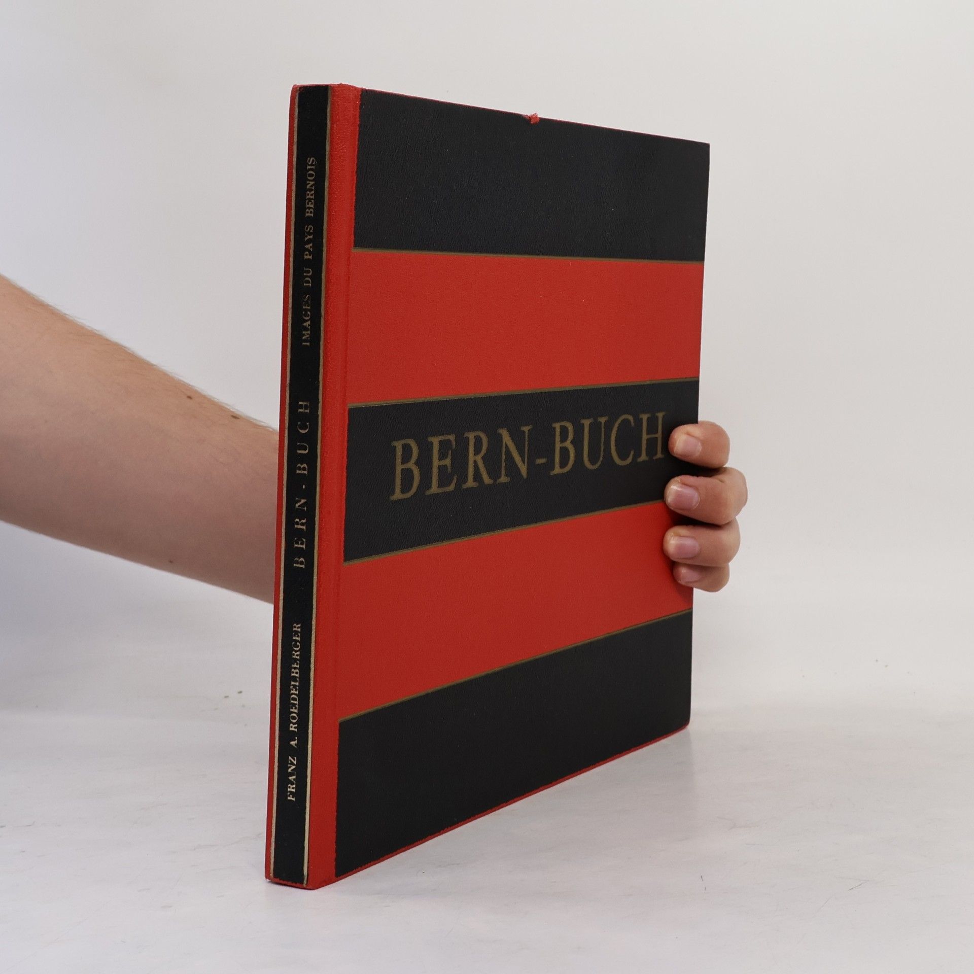 Franz Raedelberger Bern-buch images du pays bernois