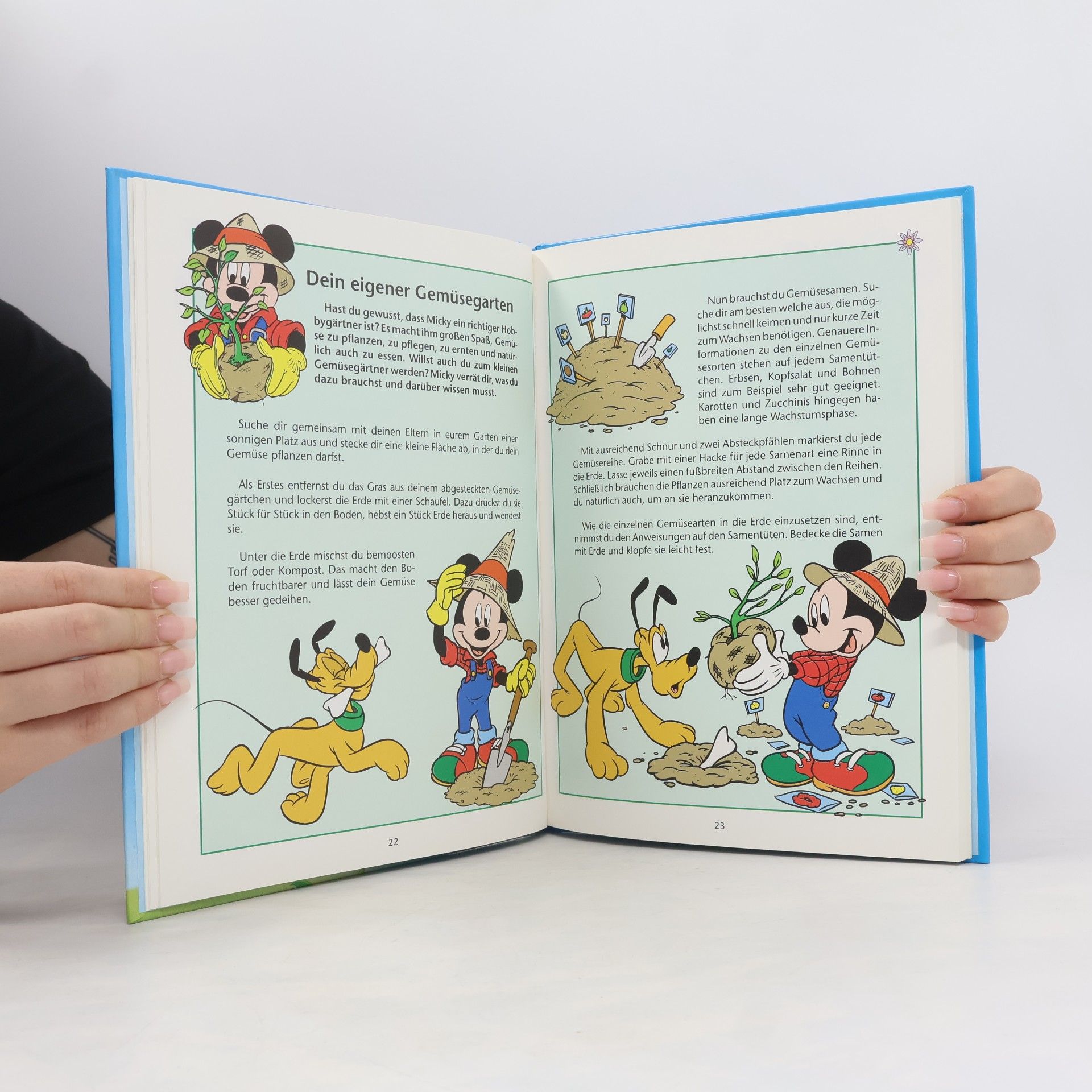 Walt Disney Mit Micky durch das ganze Jahr