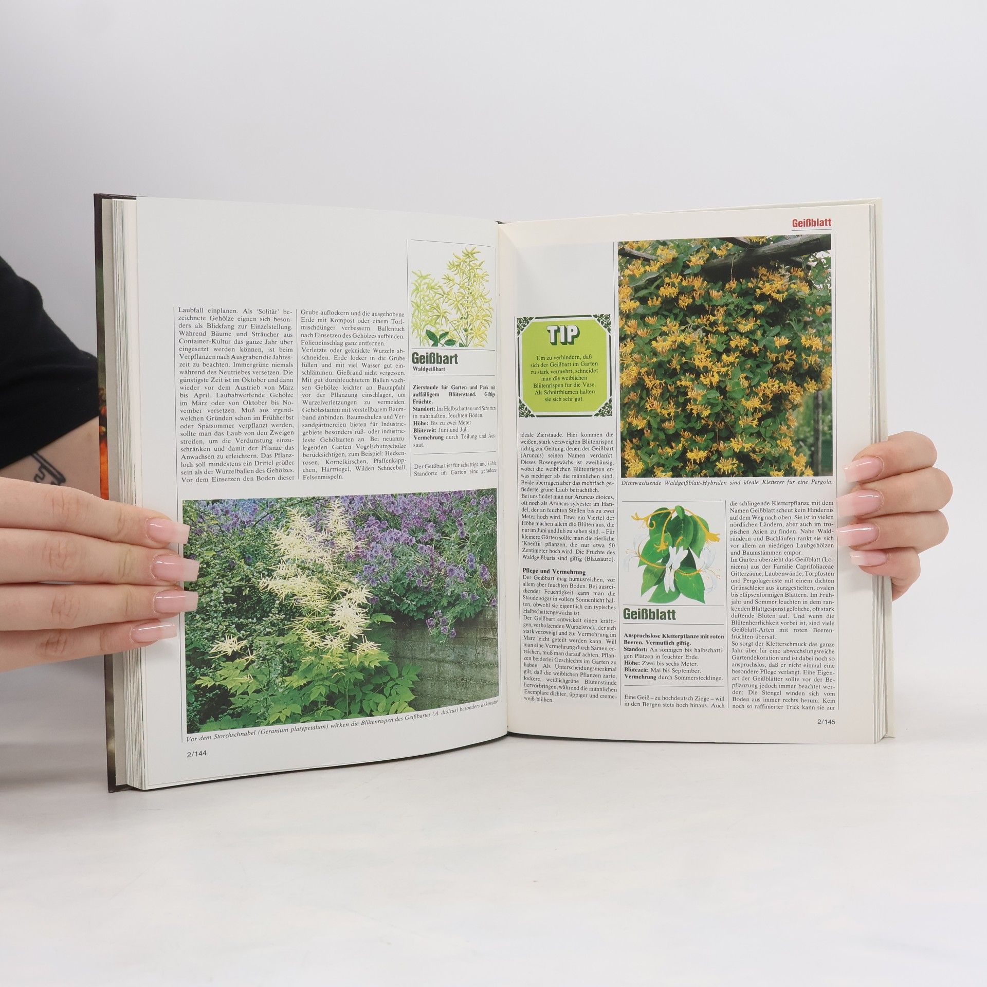 Autorenkollektiv Blumen und Garten. Das praktische Pflanzen ABC 2