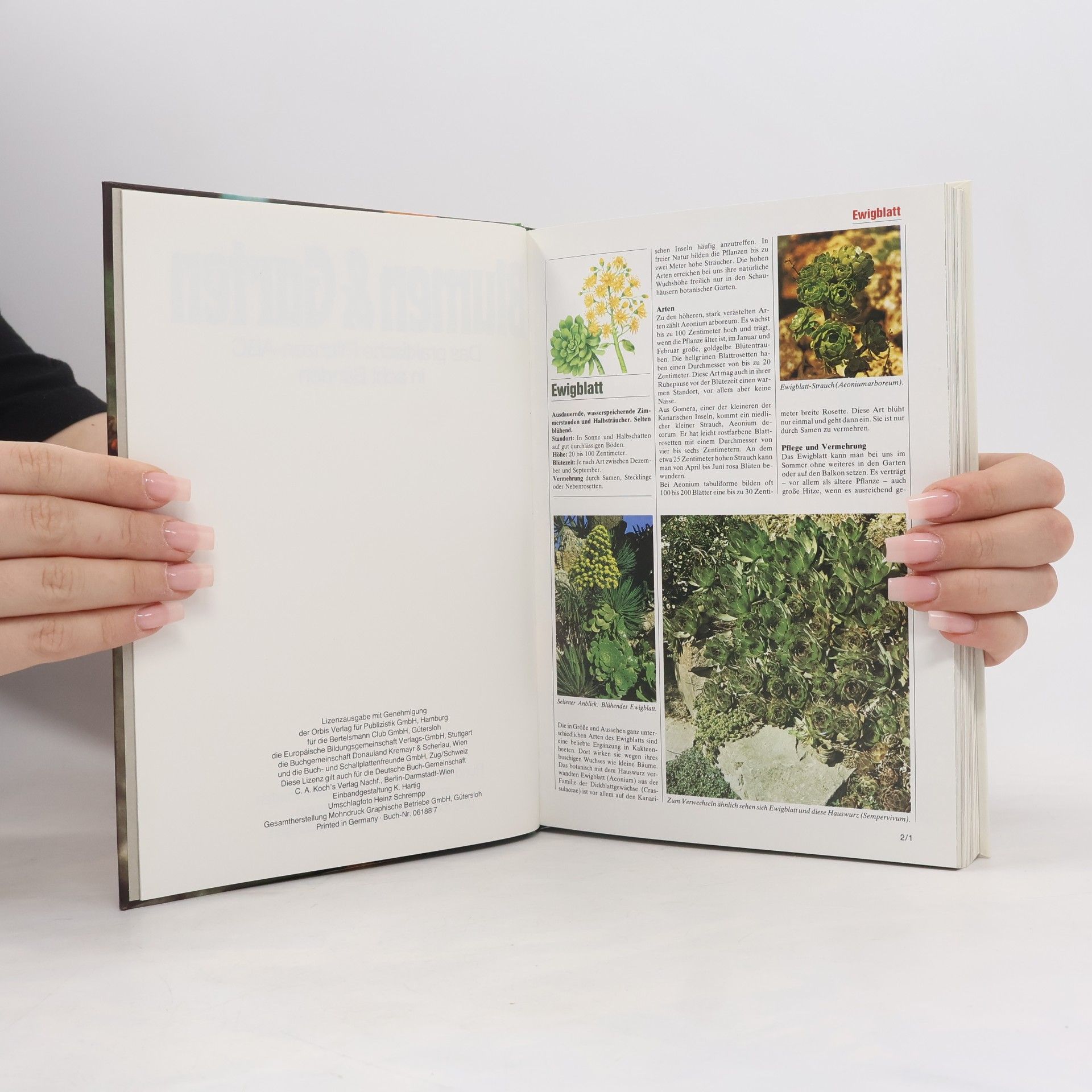 Autorenkollektiv Blumen und Garten. Das praktische Pflanzen ABC 2