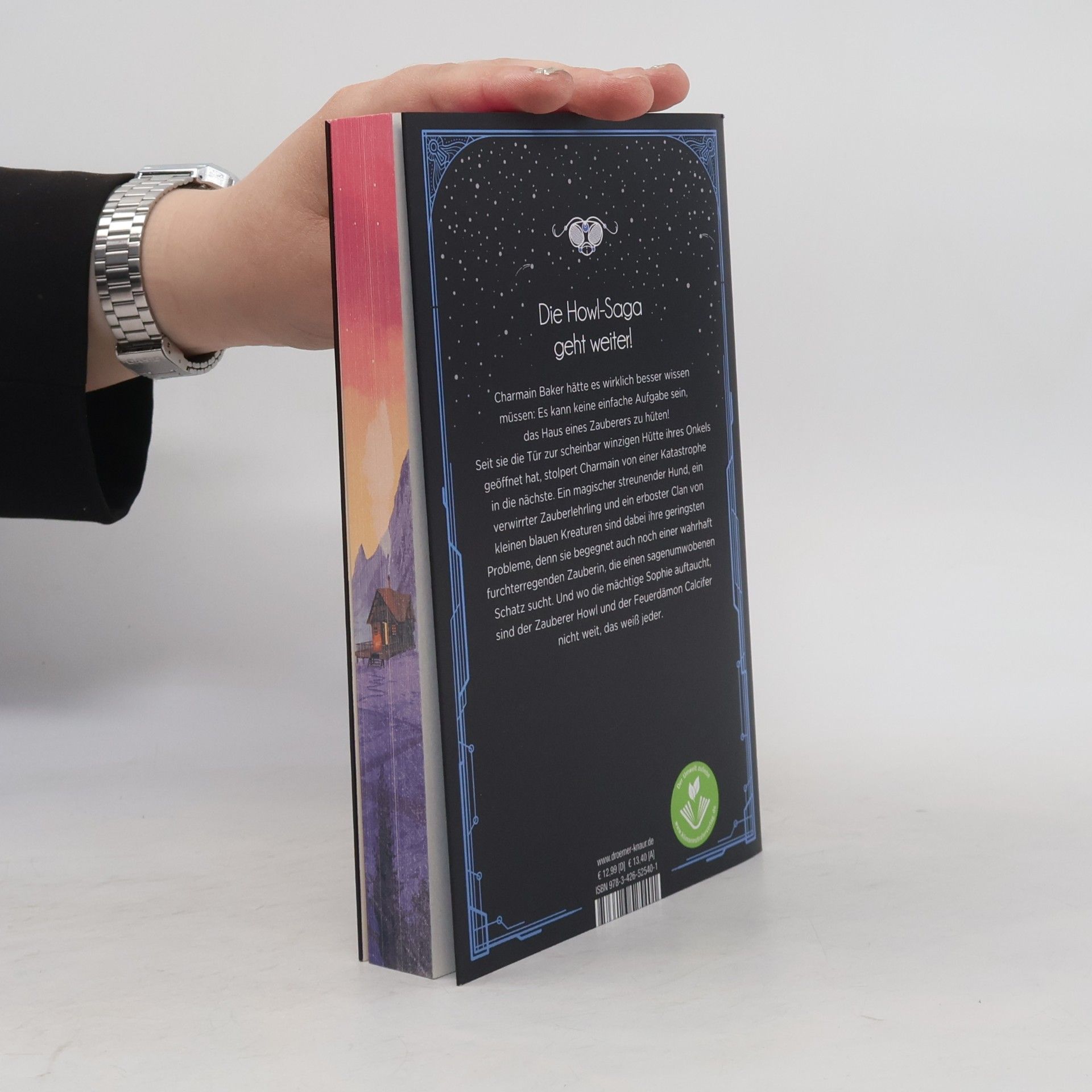 Diana Wynne Jones Das Haus der tausend Räume