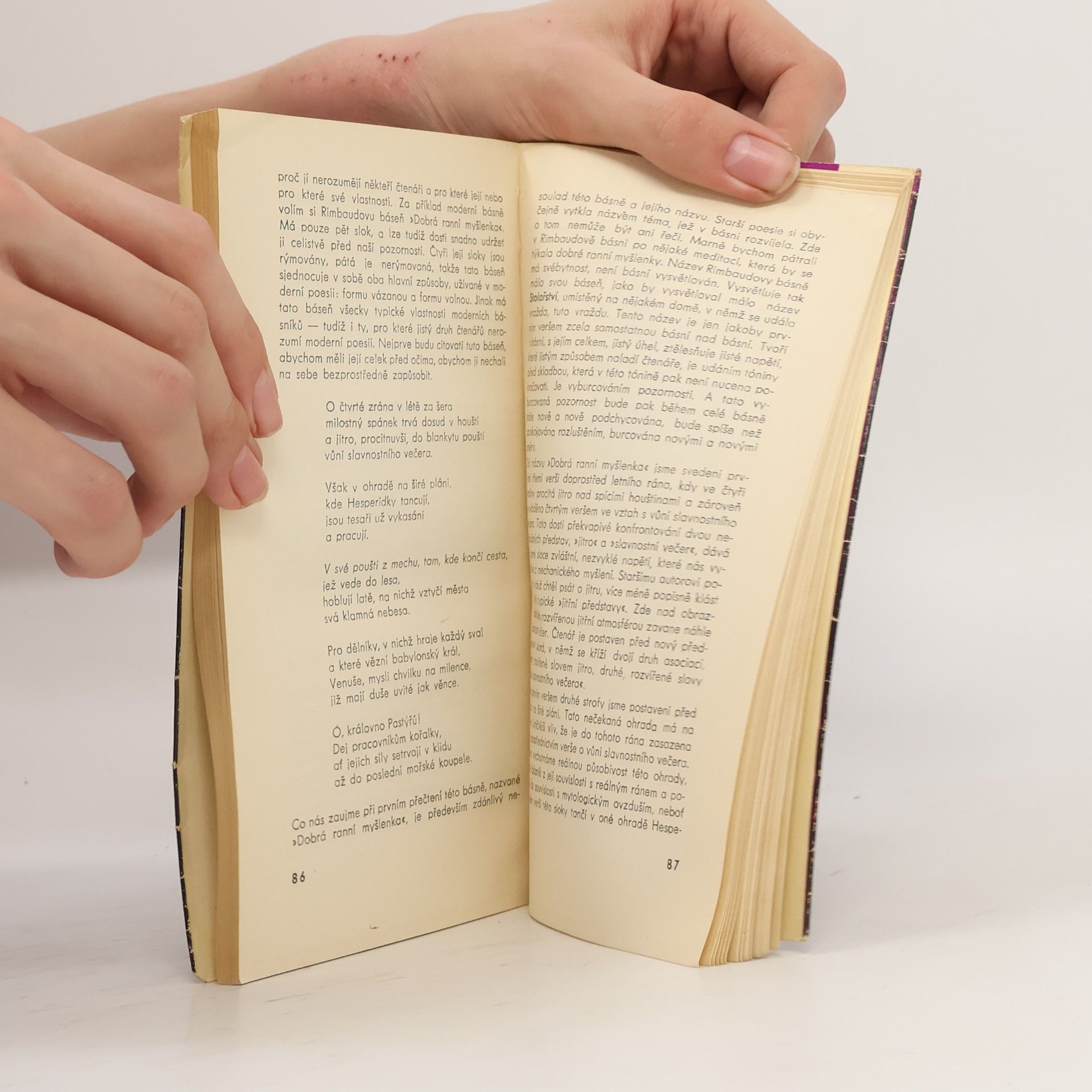 Vítězslav Nezval Moderní poesie