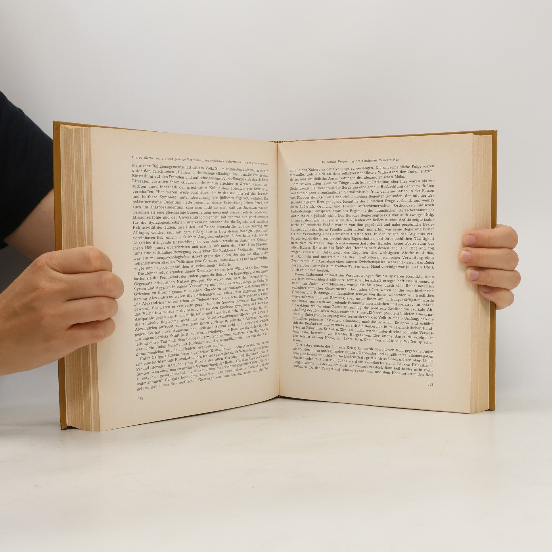 Alfred Heuß Römische Geschichte