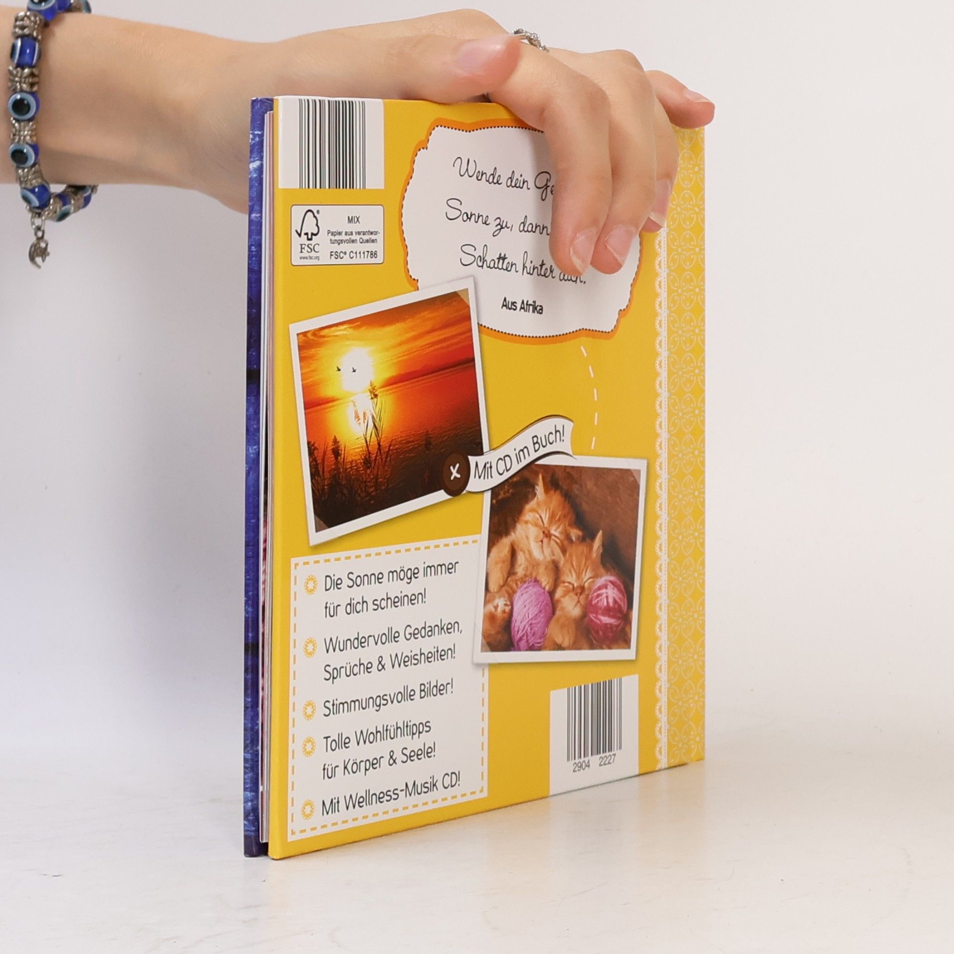 Autorenkollektiv Sonnenschein... an allen Tagen!