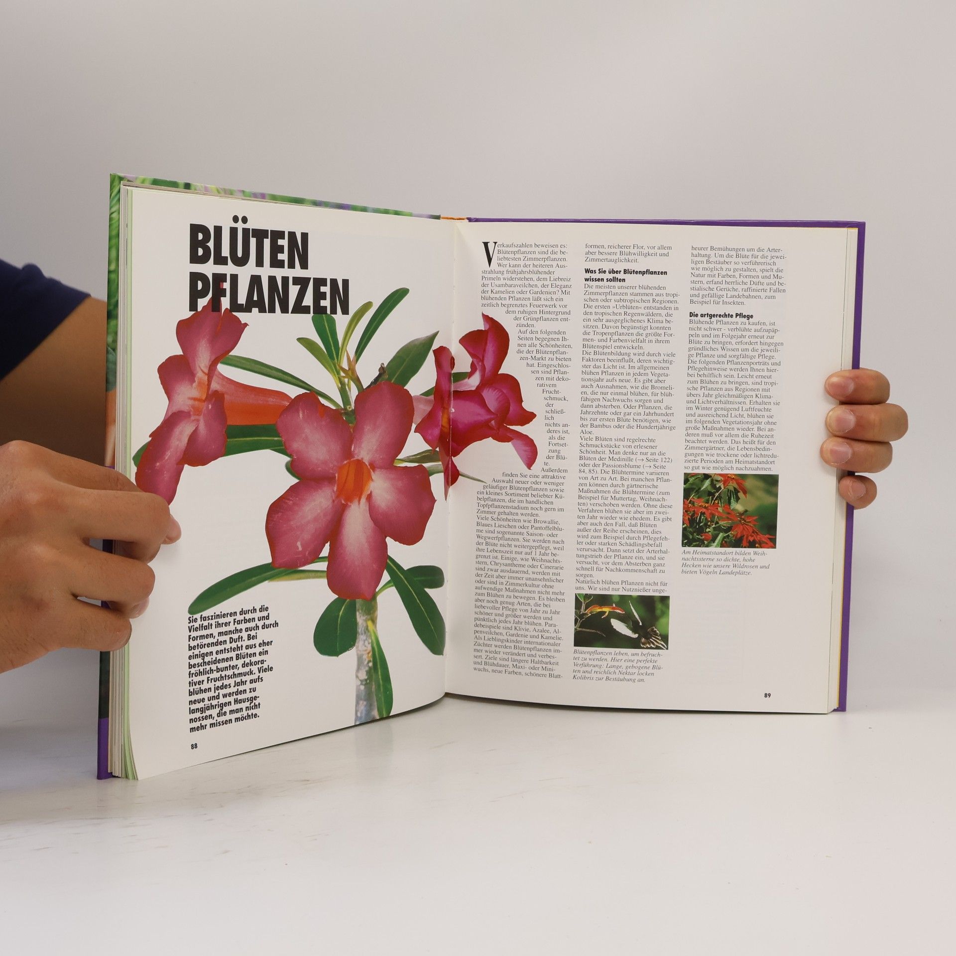 Halina Heitz Das große GU. Zimmerpflanzenbuch