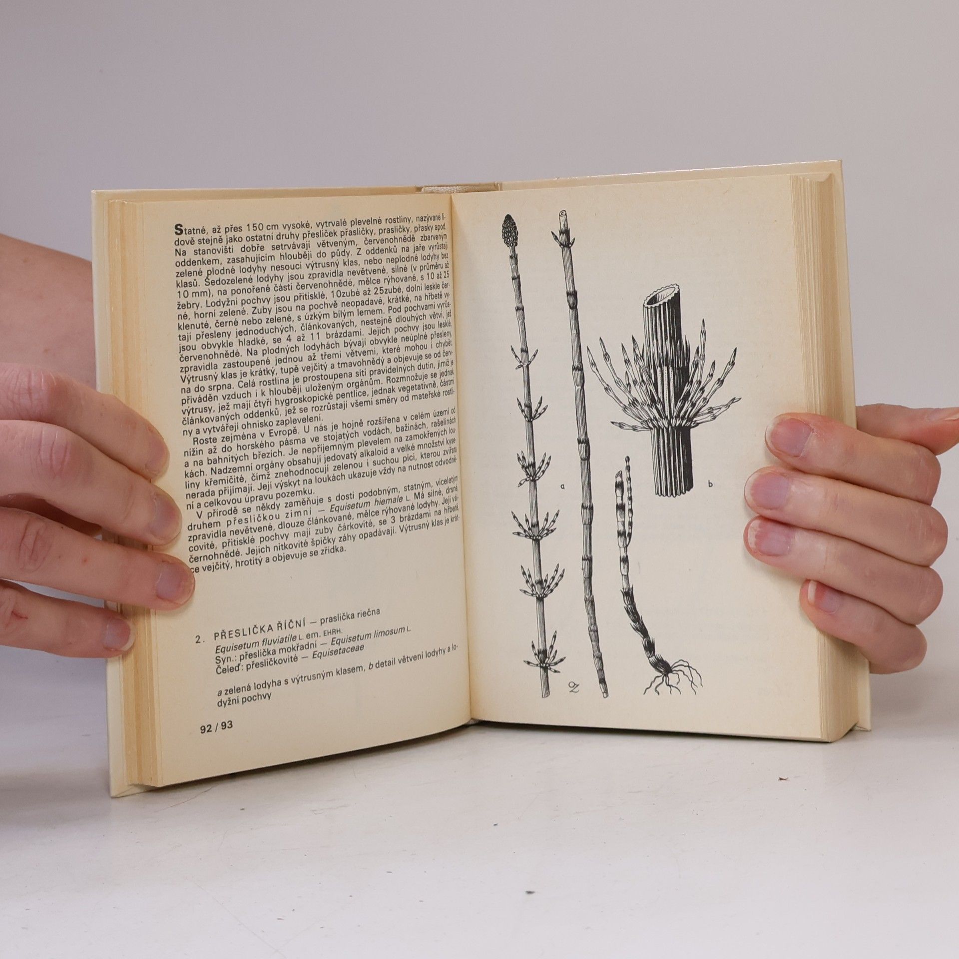 František Hron Kapesní atlas. Rostliny luk, pastvin, vod a bažin